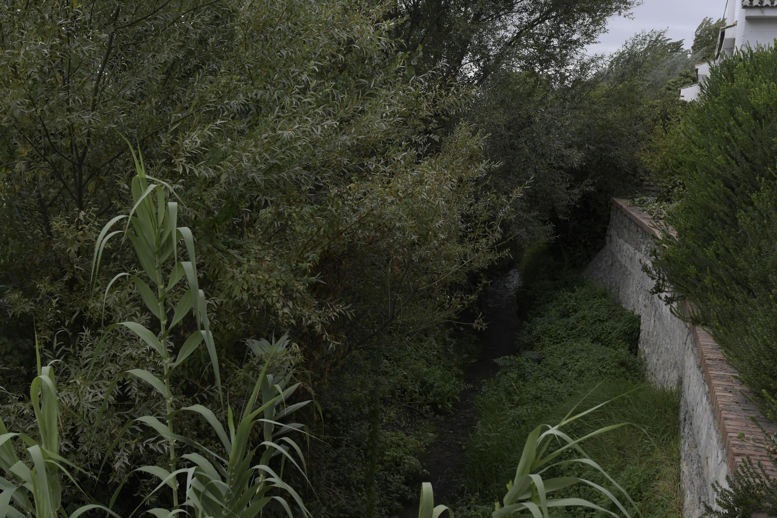 Ruta del Colesterol en Granada: cauces de los ríos Genil y Monachil