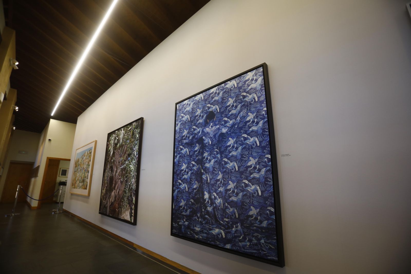 Una paseo en imágenes por 'Nodi', de Paula Anta, premio Pilar Citoler de fotografía