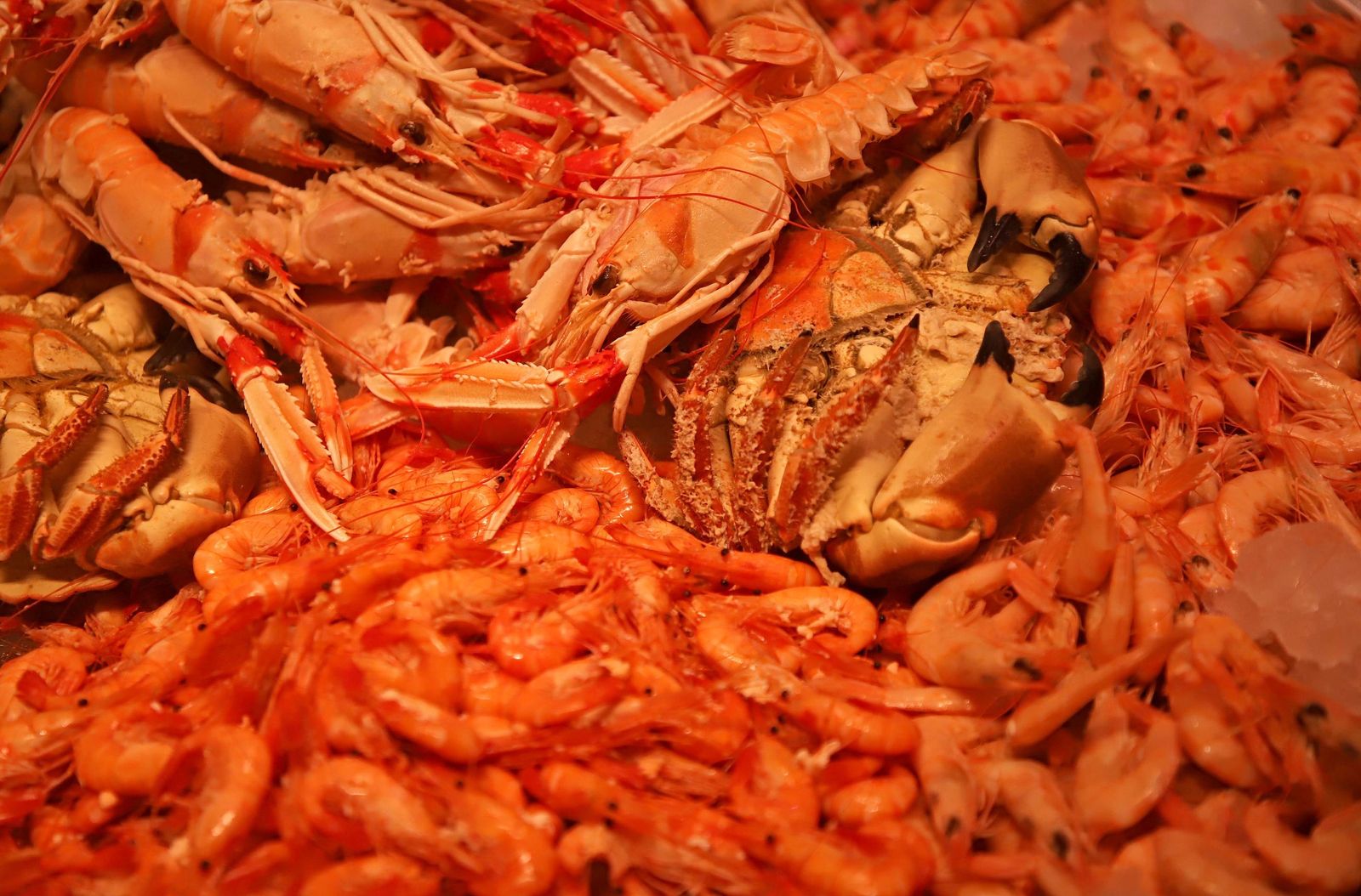 Fotos de las últimas compras para la cena de Nochebuena en Algeciras