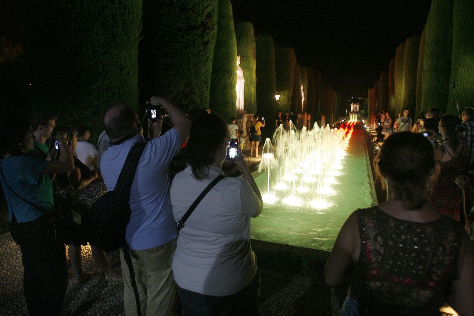 Espectáculo nocturno del Alcázar.