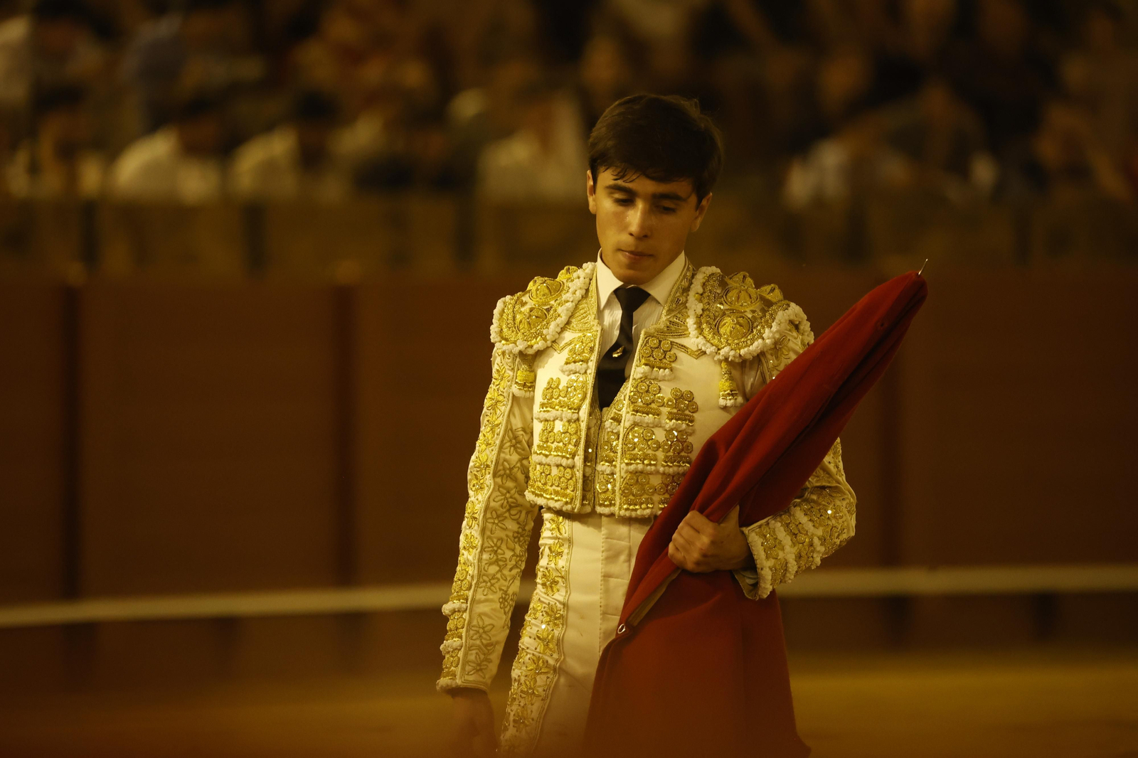 Las imágenes de la novillada en la Maestranza