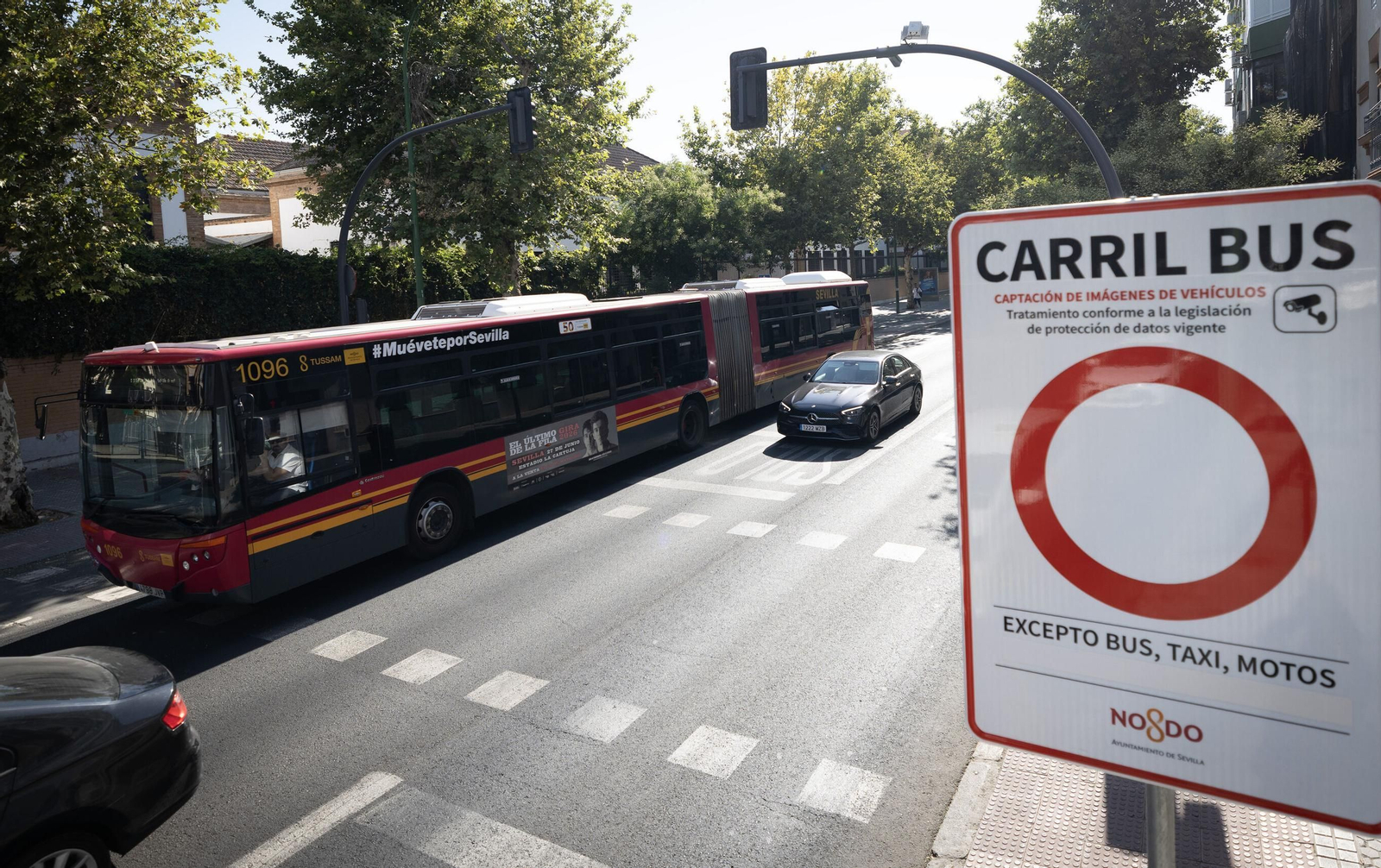 La señal tipo del carril bus vigilado con cámaras indica que pueden pasar autobuses, taxis y motos.