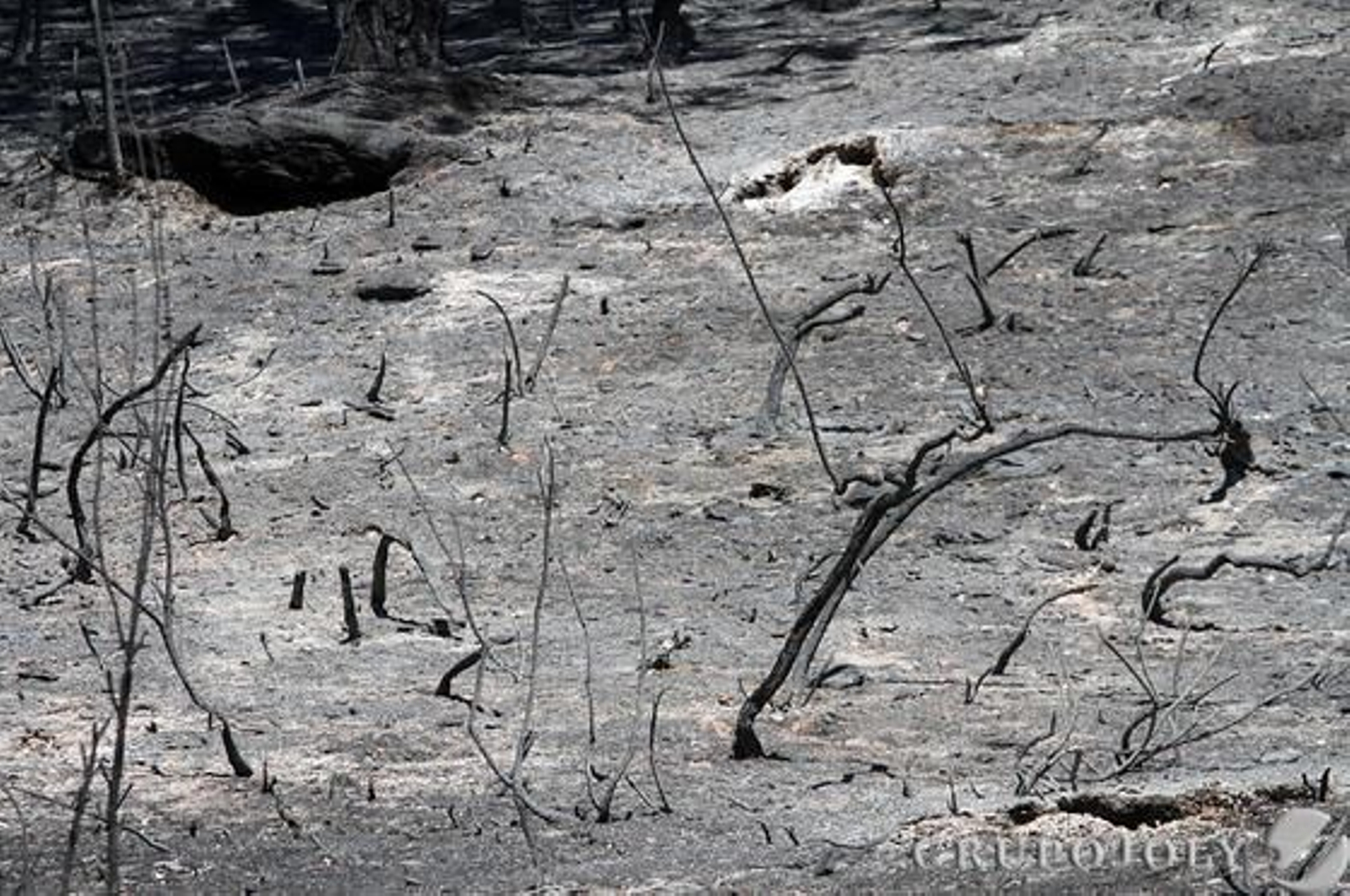 Foto: Alberto Domínguez