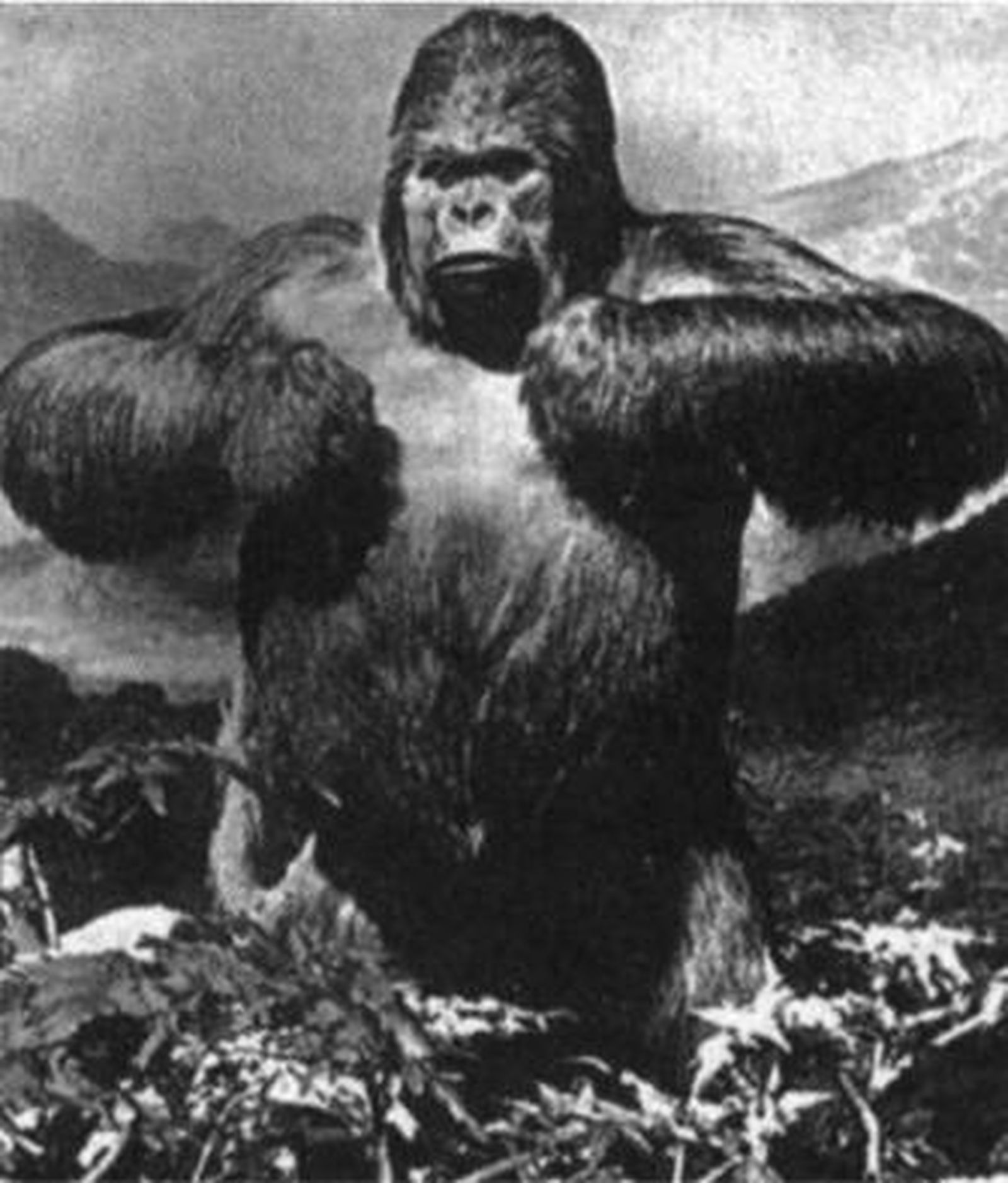 1. Fotograma de 'King Kong', estrenada en 1933 y considerada una de las películas más influyentes de la historia del cine, sobre todo por su tratamiento de la relación entre el monstruo y el ser humano. 2. Imagen promocional de la película, estrenada en Nueva York. 3. Uno de los carteles del filme, protagonizado por Fay Wray. 4. Segundo 'remake' de 'King Kong', dirigido por Peter Jackson en 2005.