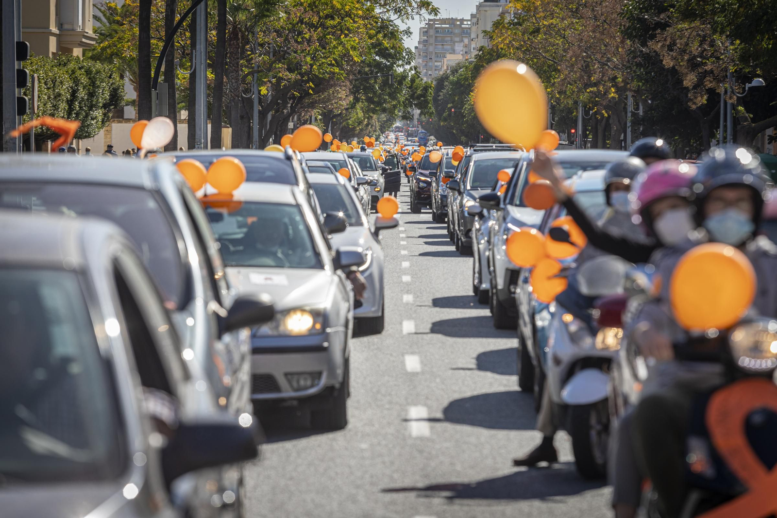 Imágenes de la caravana de coches en Cádiz contra la Ley Celaá