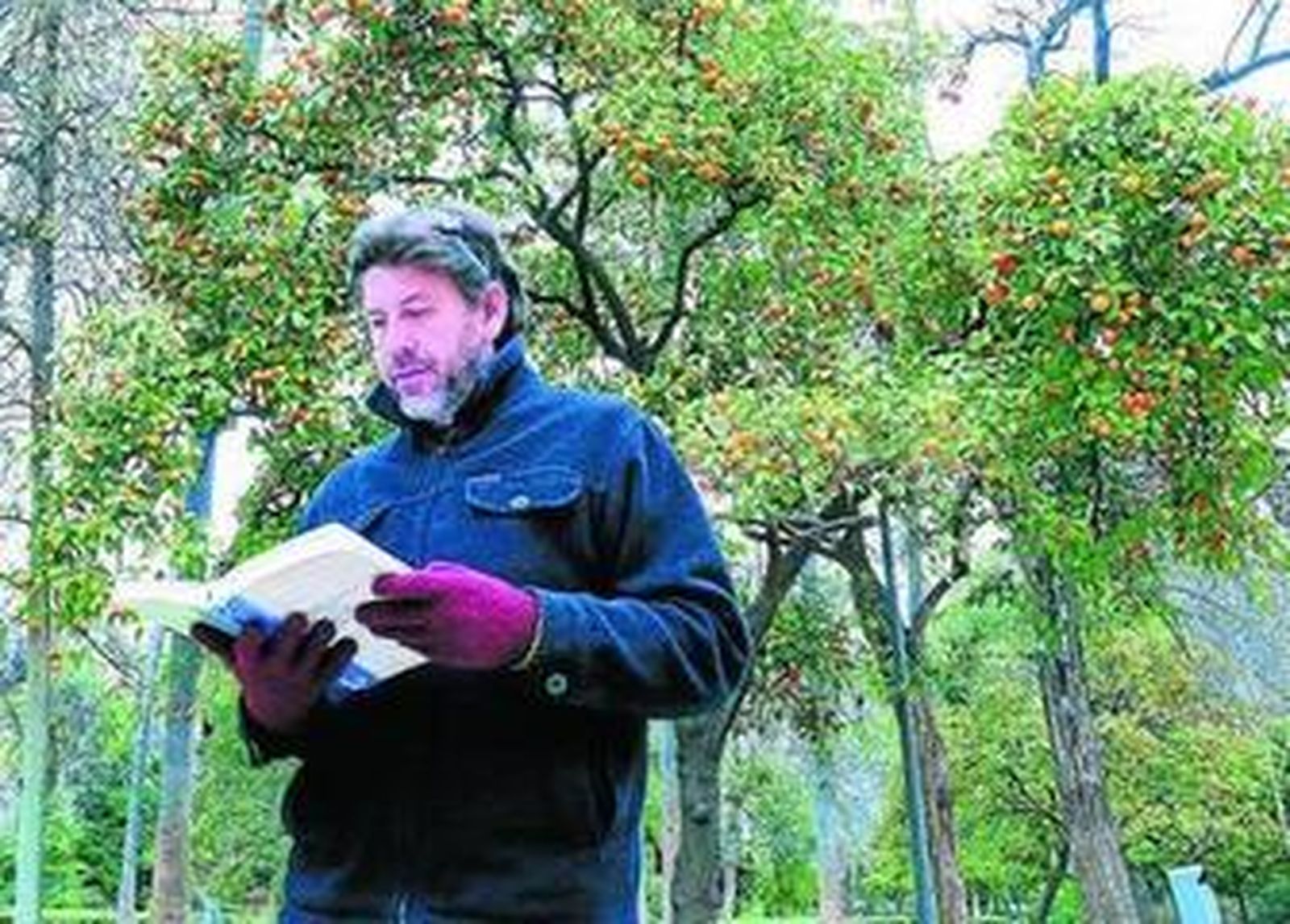 Un ciudadano lee en el Parque de María Luisa.