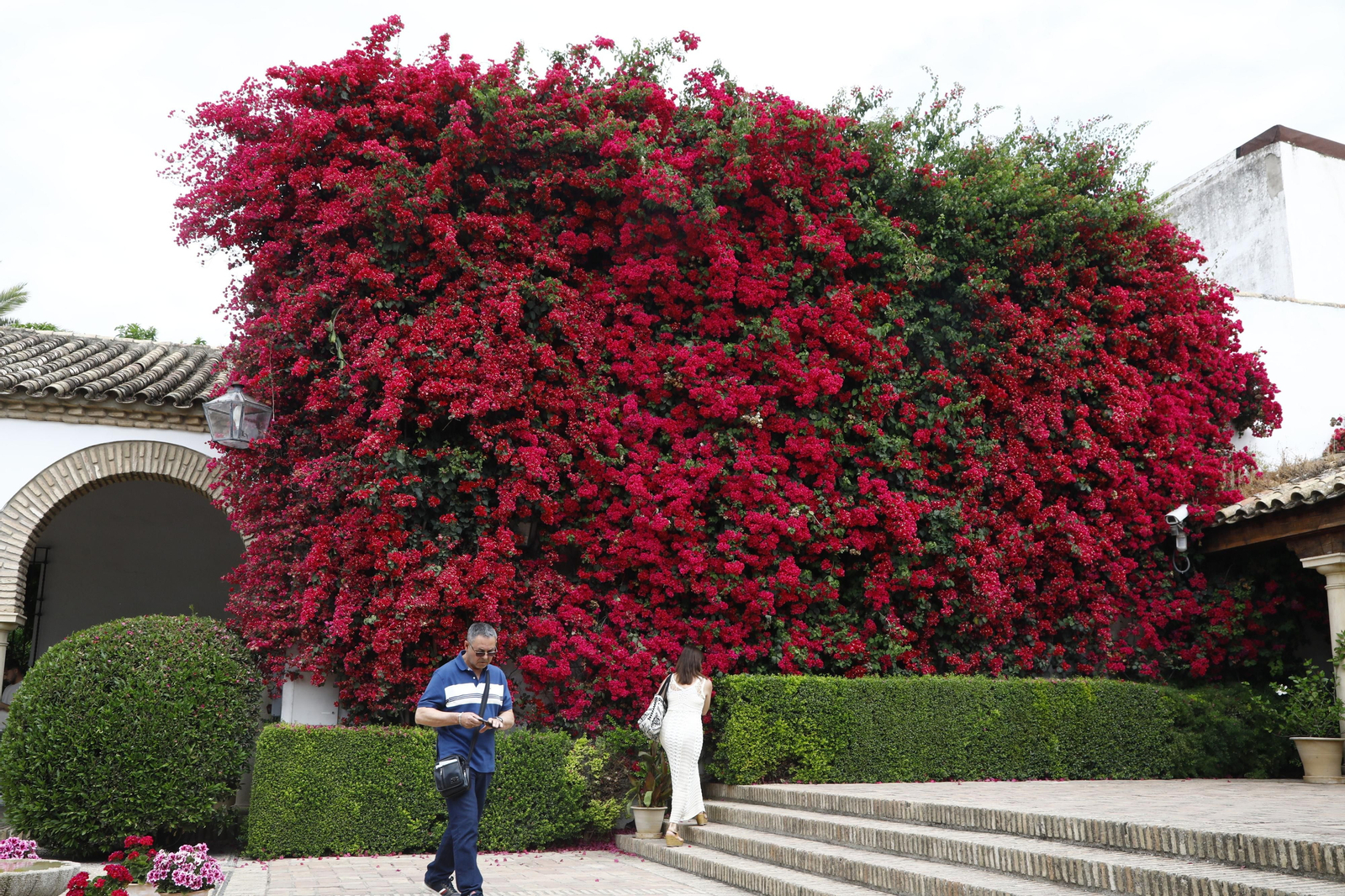 La jornada de puertas abiertas en el Palacio de Viana de Cordoba, en imágenes