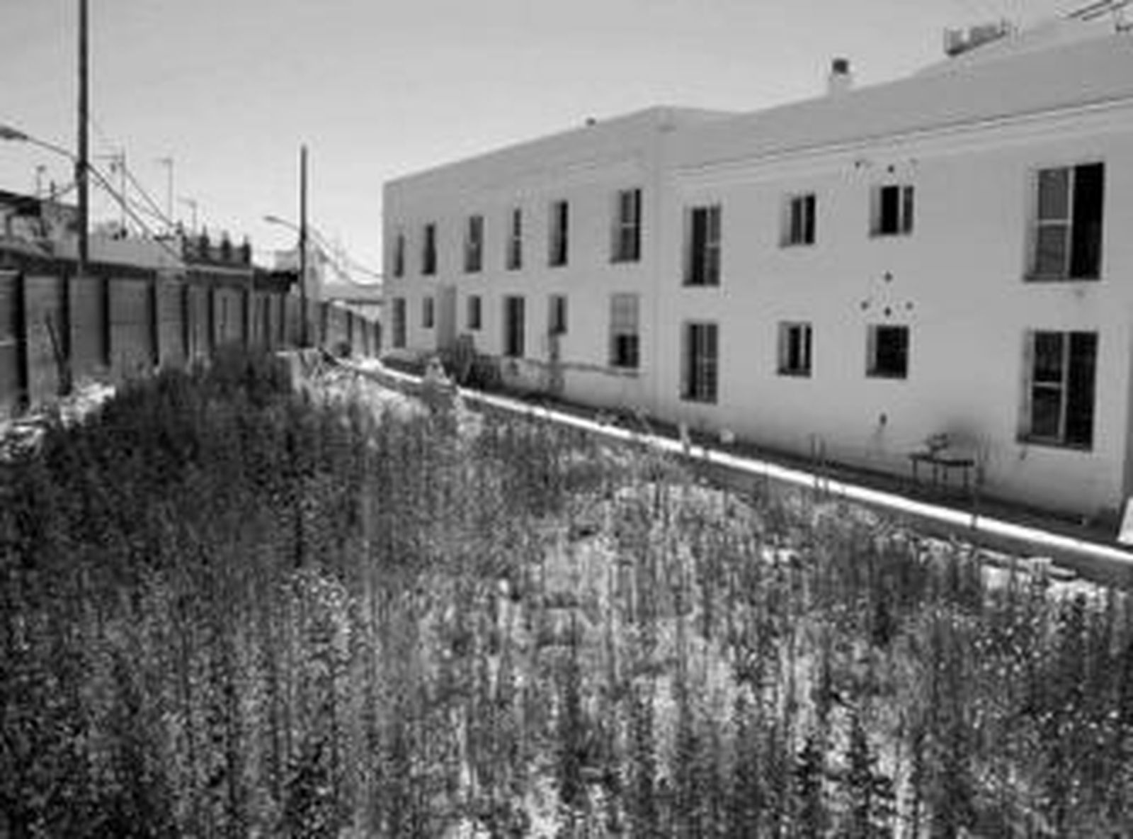 Parte del solar donde aparecieron los restos, con las viviendas ya construidas en una parte del terreno.