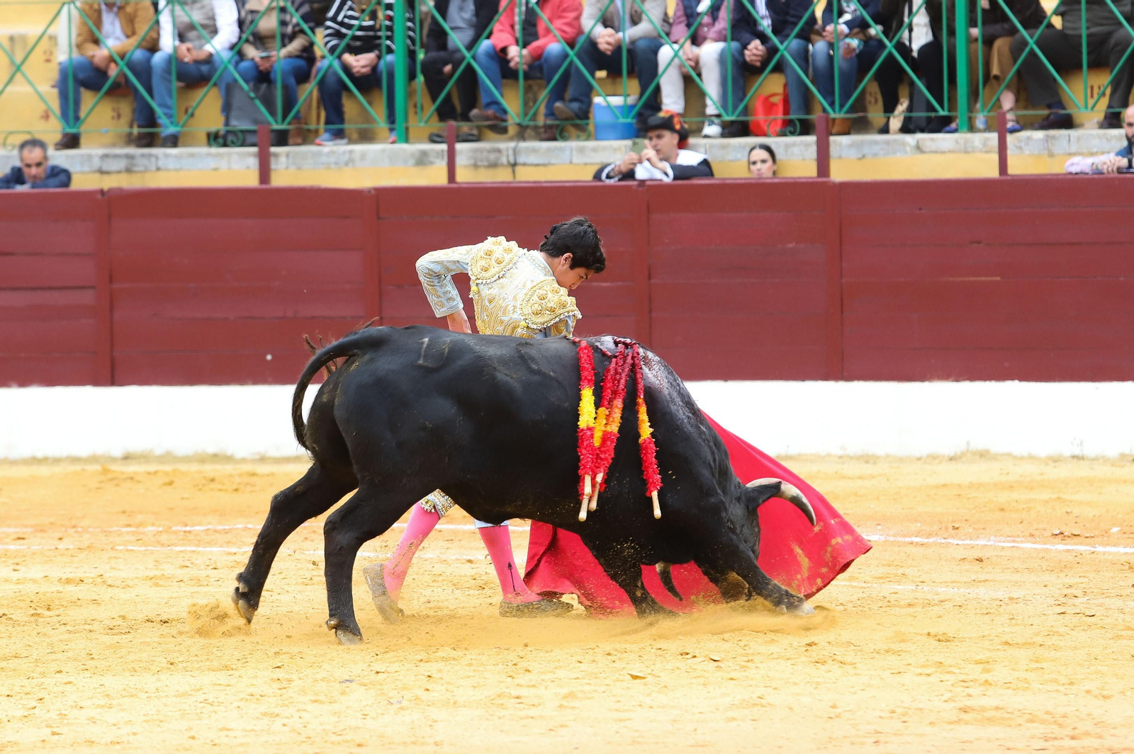 Imágenes de la novillada previa a la Semana Santa en la plaza de toros de La Línea