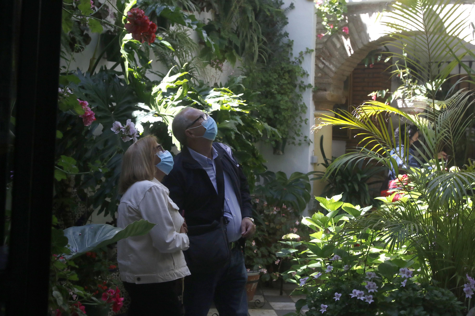 Patio de Céspedes, 10.