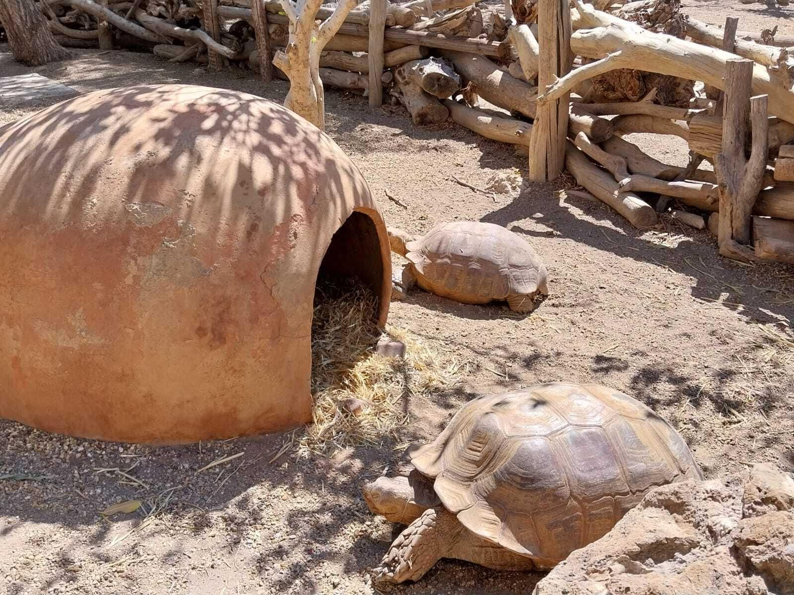Vea cómo es el Mini Hollywood Oasys y sus espectaculares decorados