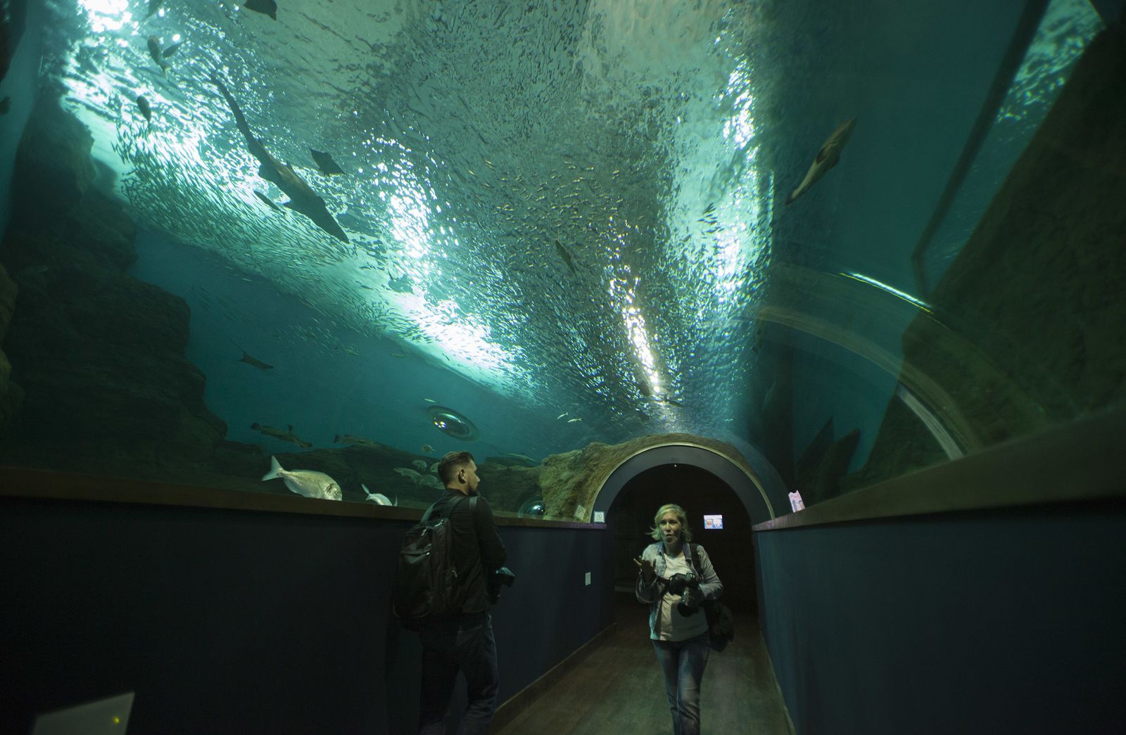 El acuario de Sevilla