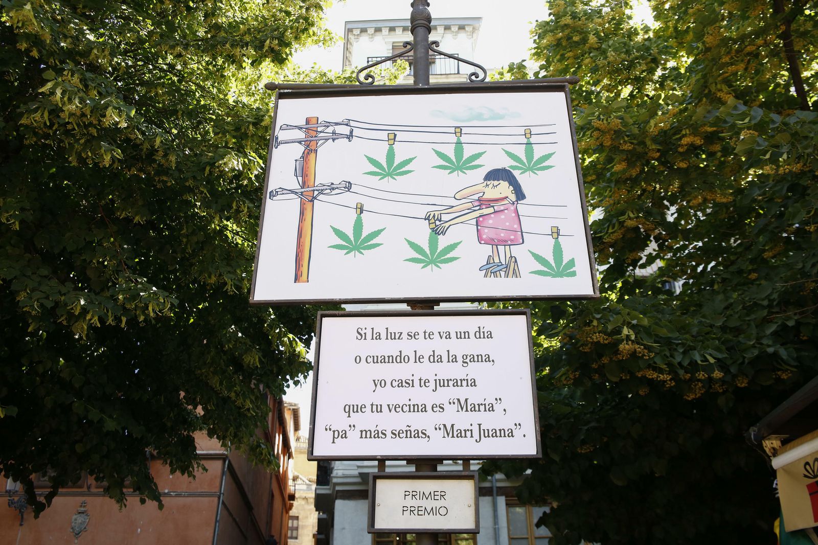 Las 20 carocas de la Feria del Corpus 2019