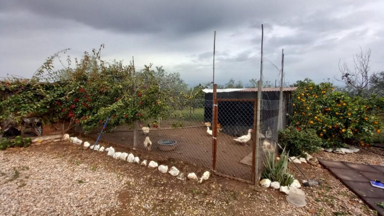 Otro de los gallineros incluidos en el proyecto.