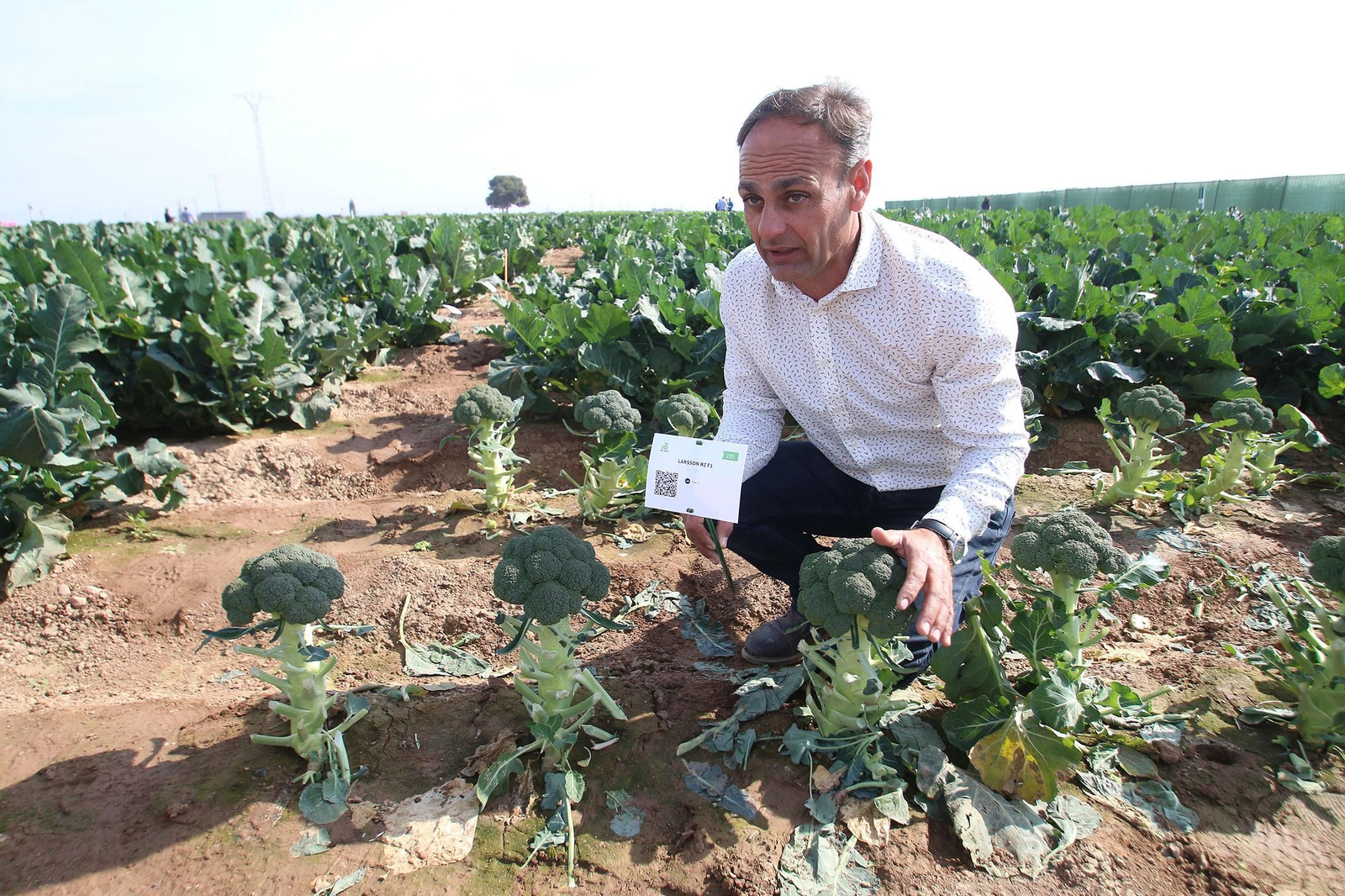 Fotogalería de las jornadas de puertas abiertas de Rijk Zwaan en Cartagena