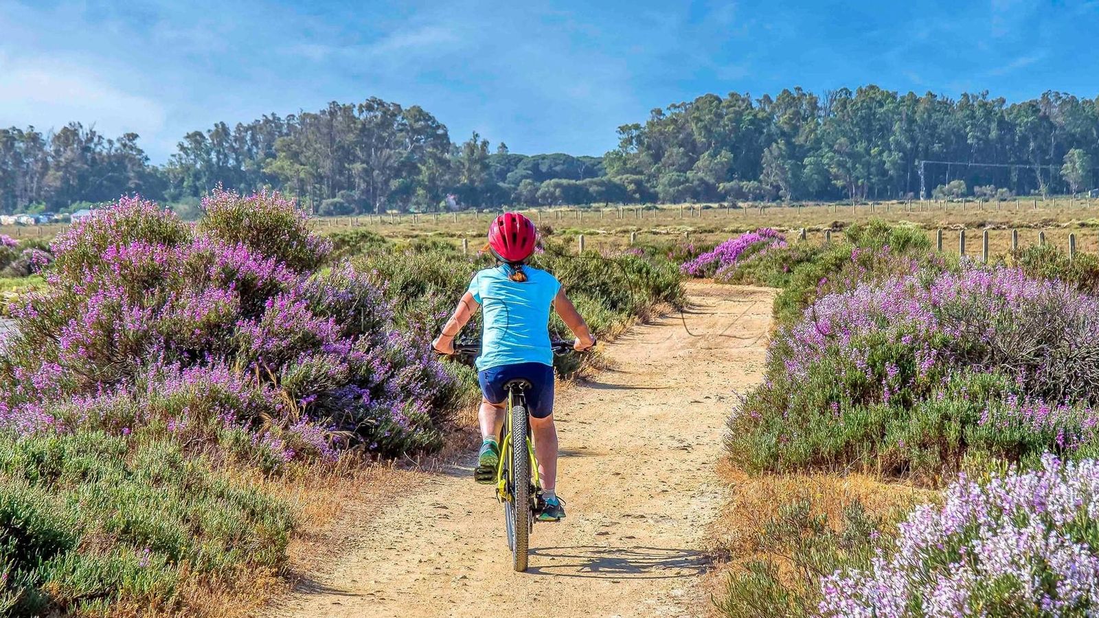 Sendero Marismas del Barbate