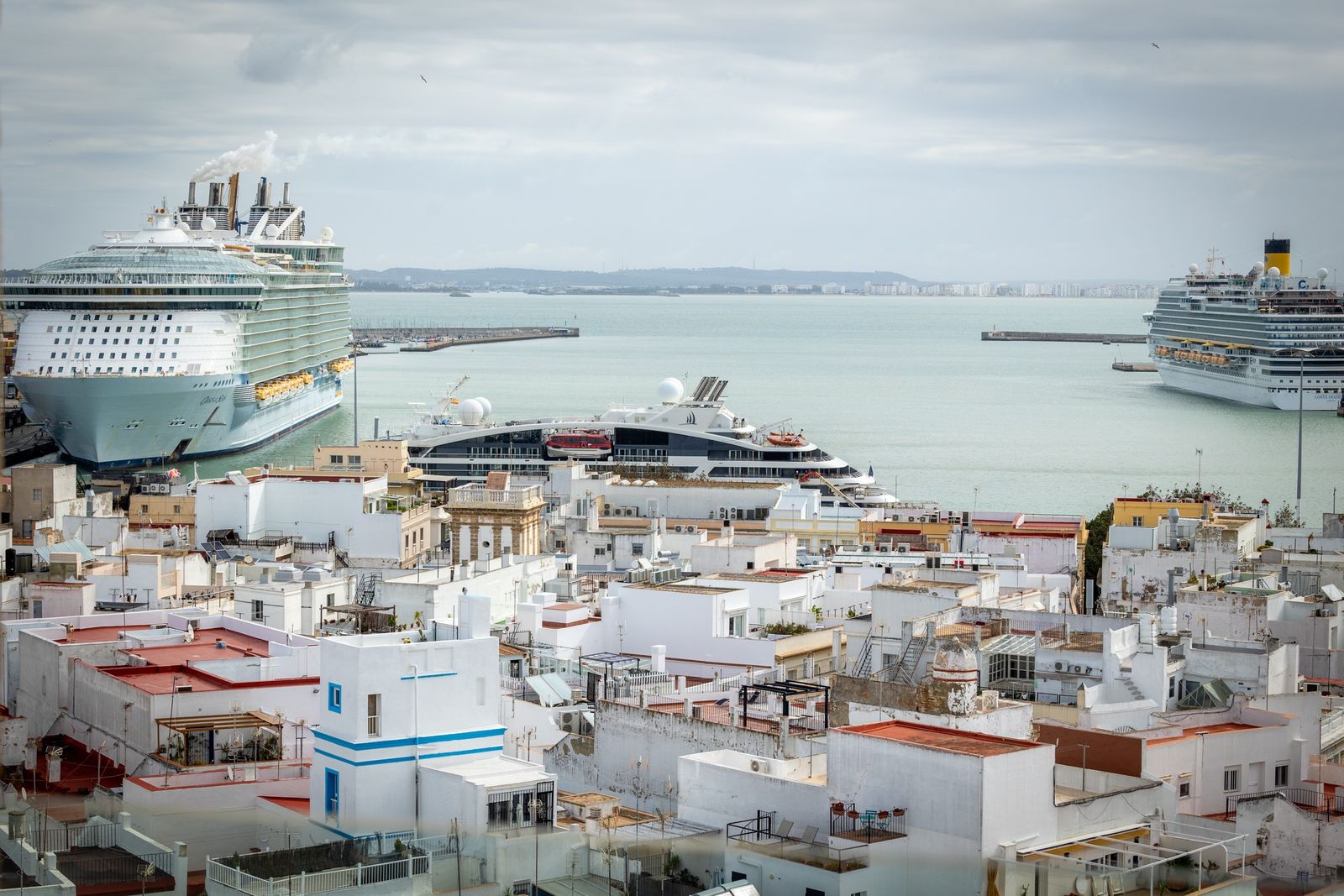 Cruceros en el Puerto de Cádiz.