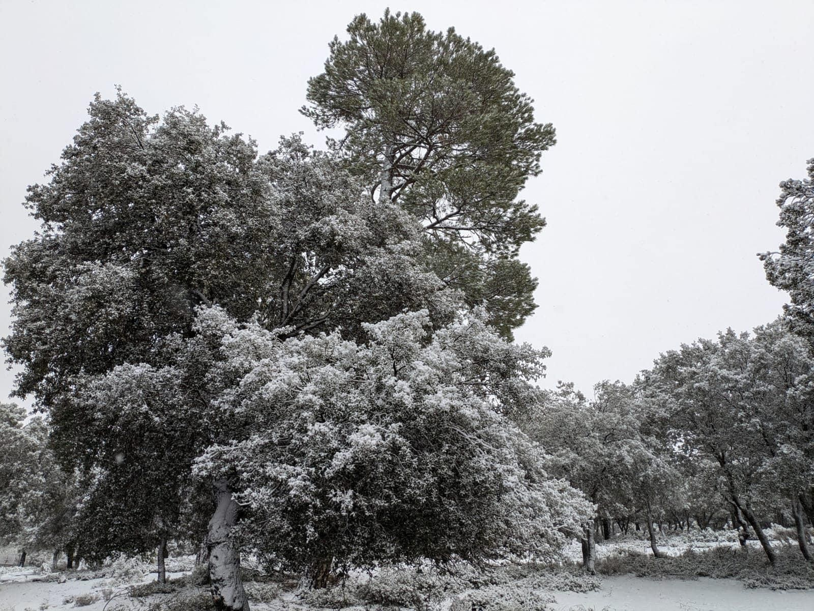 La nieve llega hasta las zonas más altas de la sierra jiennense, en imágenes