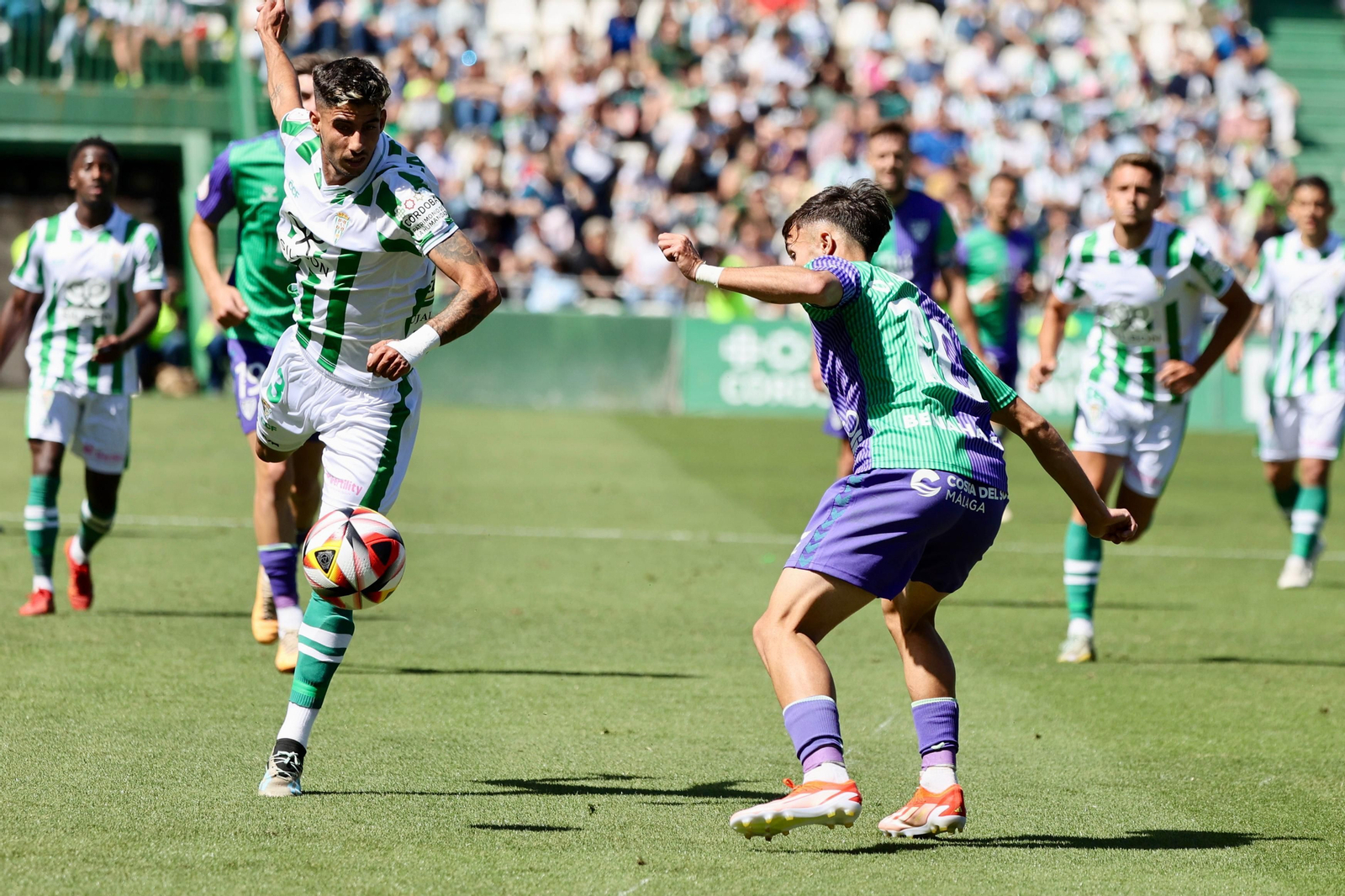 El Córdoba - Málaga CF, en fotos