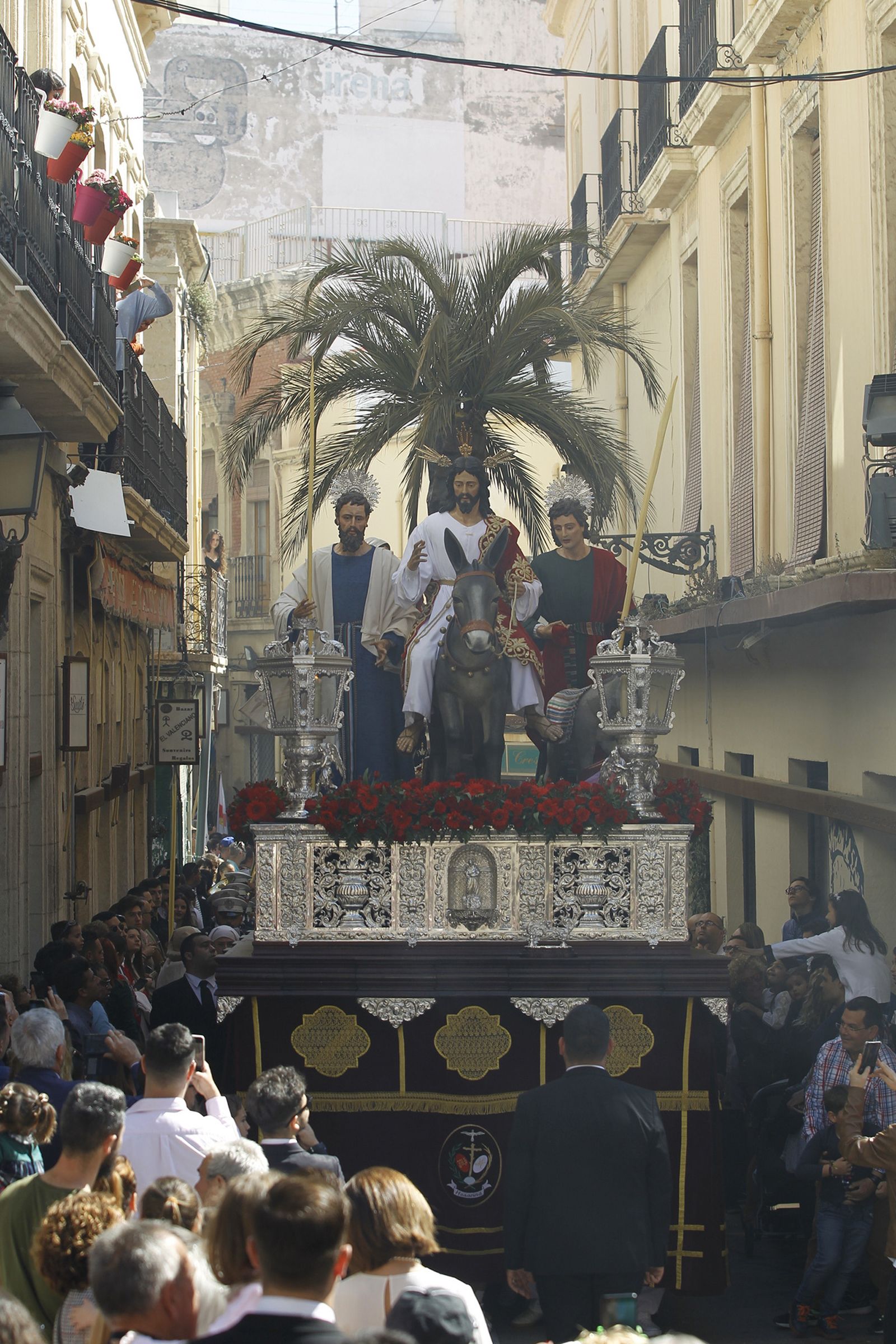 Imágenes Procesión de la Borriquita de Almería capital. Semana Santa 2019