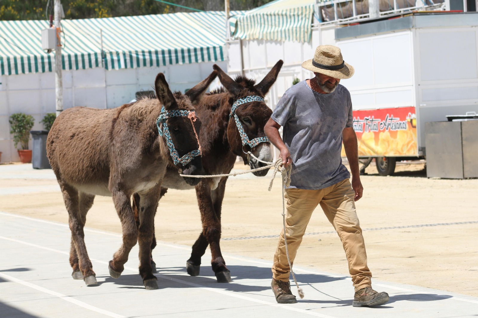 Jueves de feria de Vejer, en imágenes