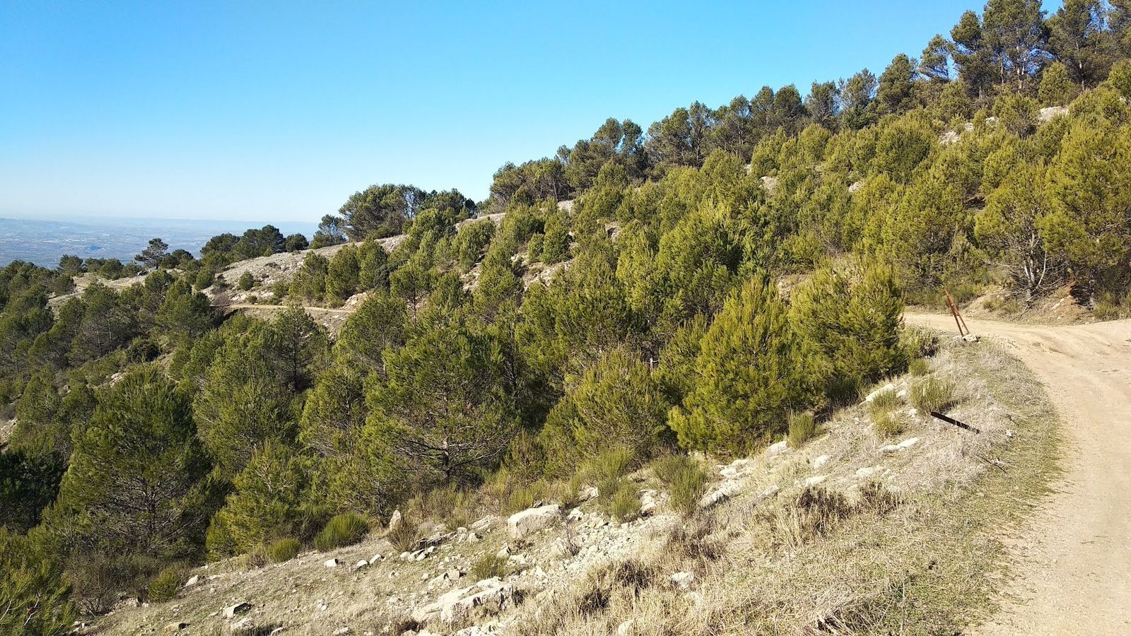Tramo del sendero hacia el Pico La Grana con vistas panorámicas y un paisaje dominado por pinares y laderas rocosas en plena Sierra Sur de Jaén.
