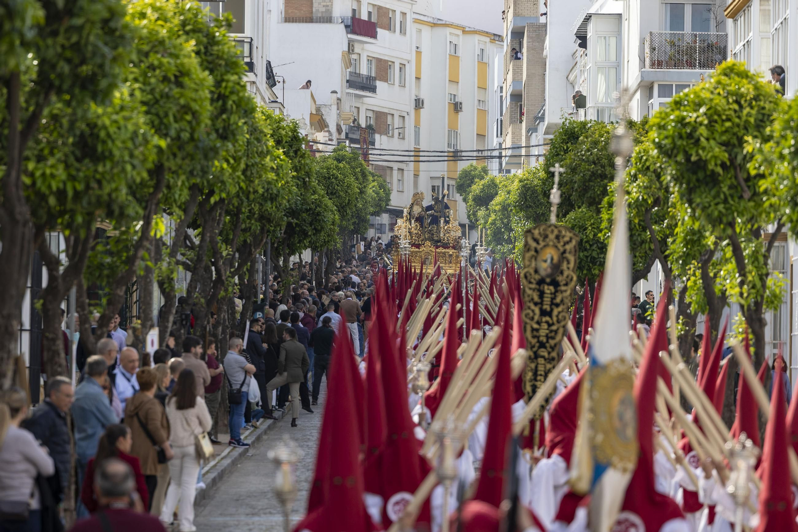 Las imágenes de la procesión de Afligidos de San Fernando en el Lunes Santo de la Semana Santa 2025