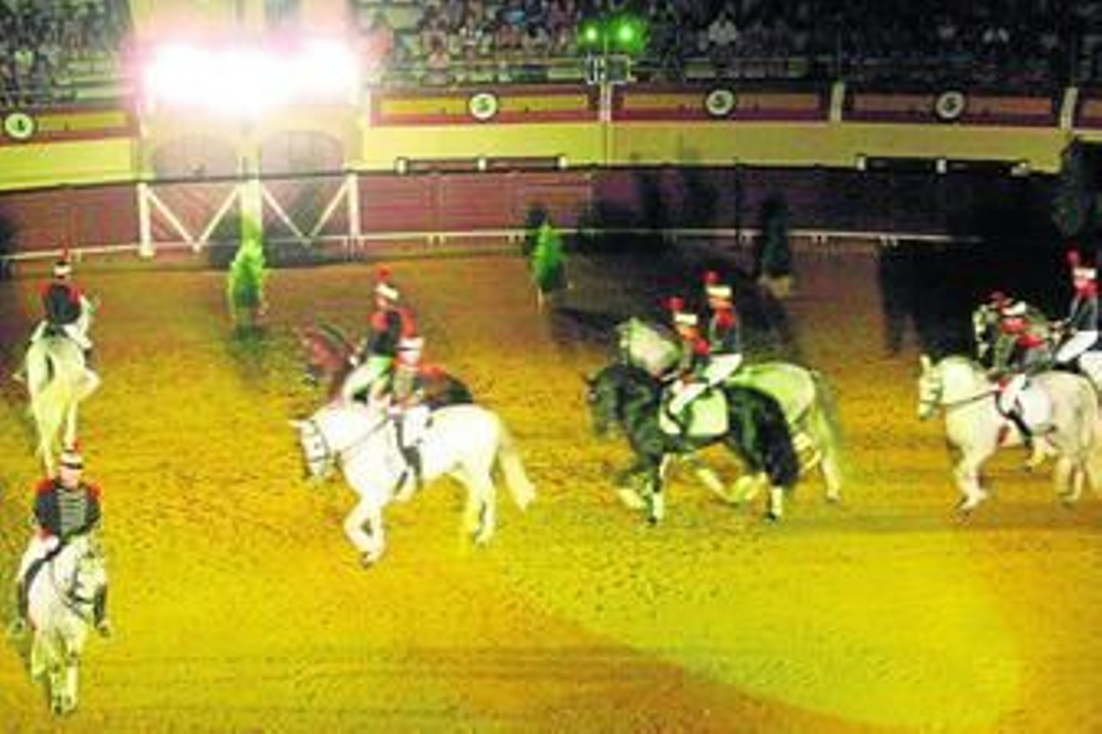 Cincuenta caballos sobre el albero en un festival de raza y pura sangre