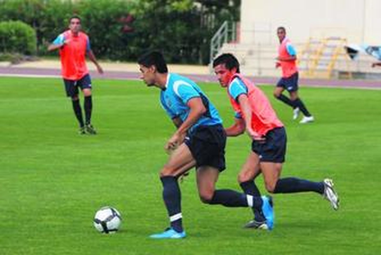 Nido de exrojiblancos