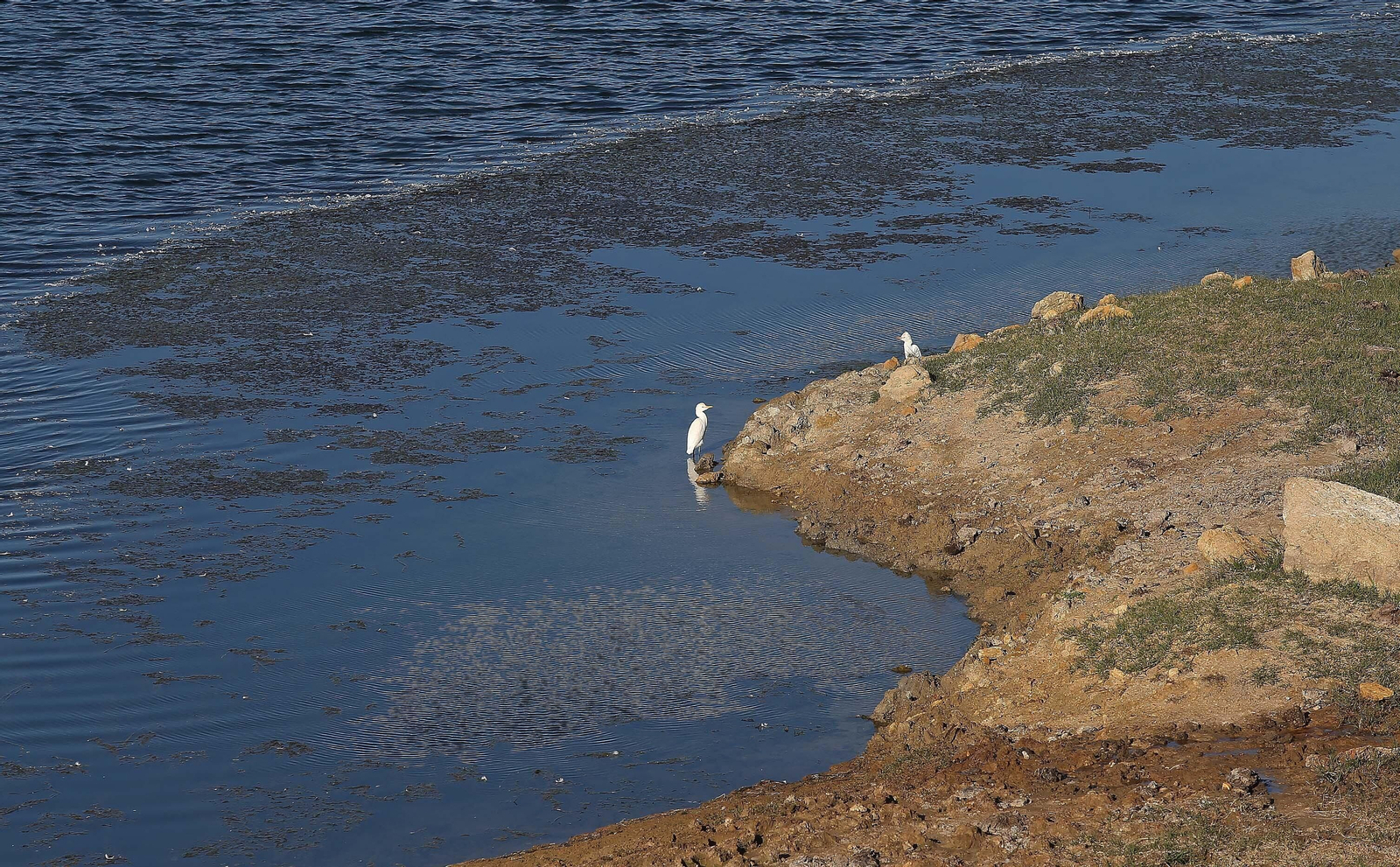 Imágenes del acuífero de la Huerta de Las Pilas en Algeciras