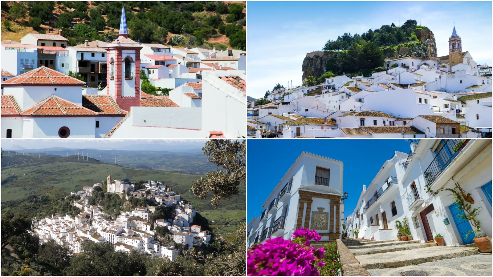 Cortes de la Frontera, Ardales, Casares y Frigiliana.