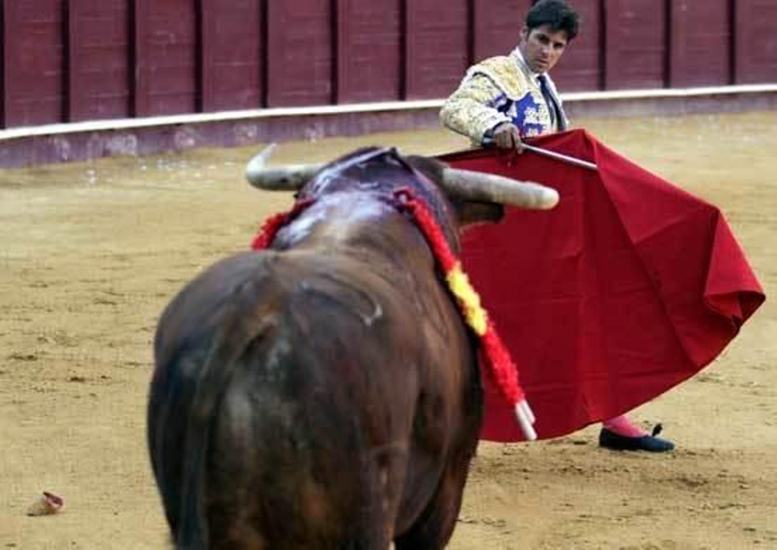 Fran Rivera espera el ataque del toro.  Foto: Migue Fern?ez