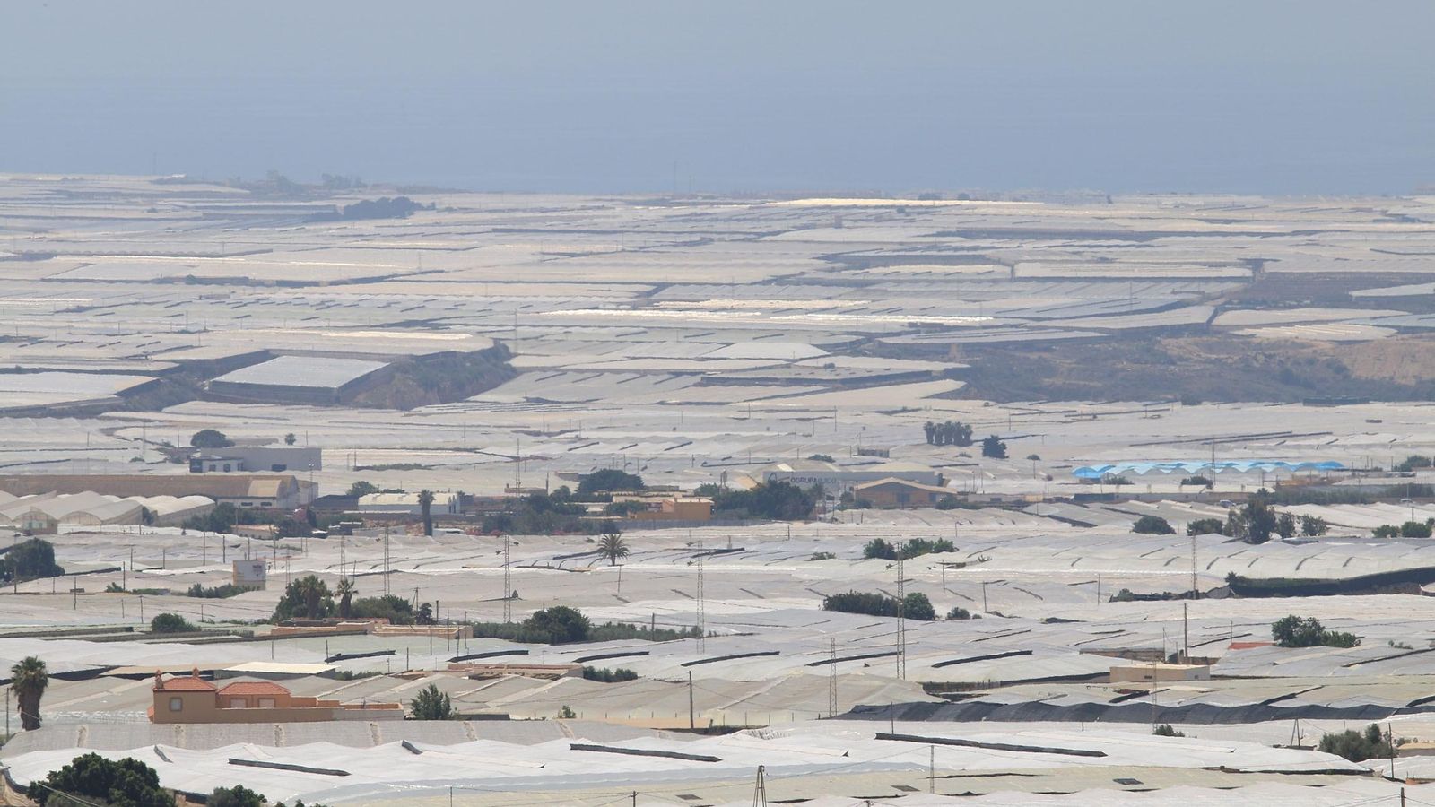 Mar de invernaderos en Almería. Mar de invernaderos en Almería.