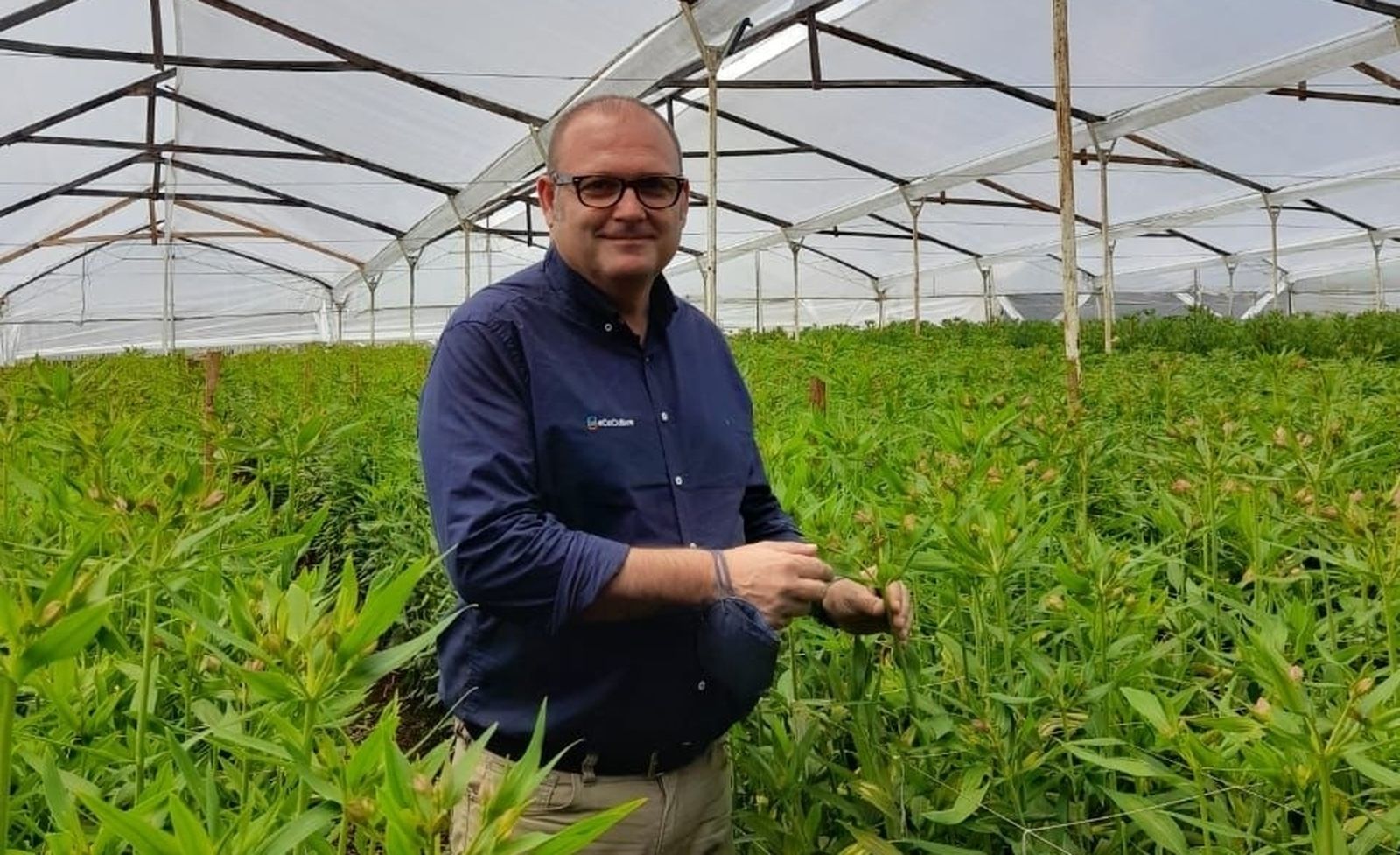 Ángel Ruiz Serna, gerente de Ecoculture en un invernadero
