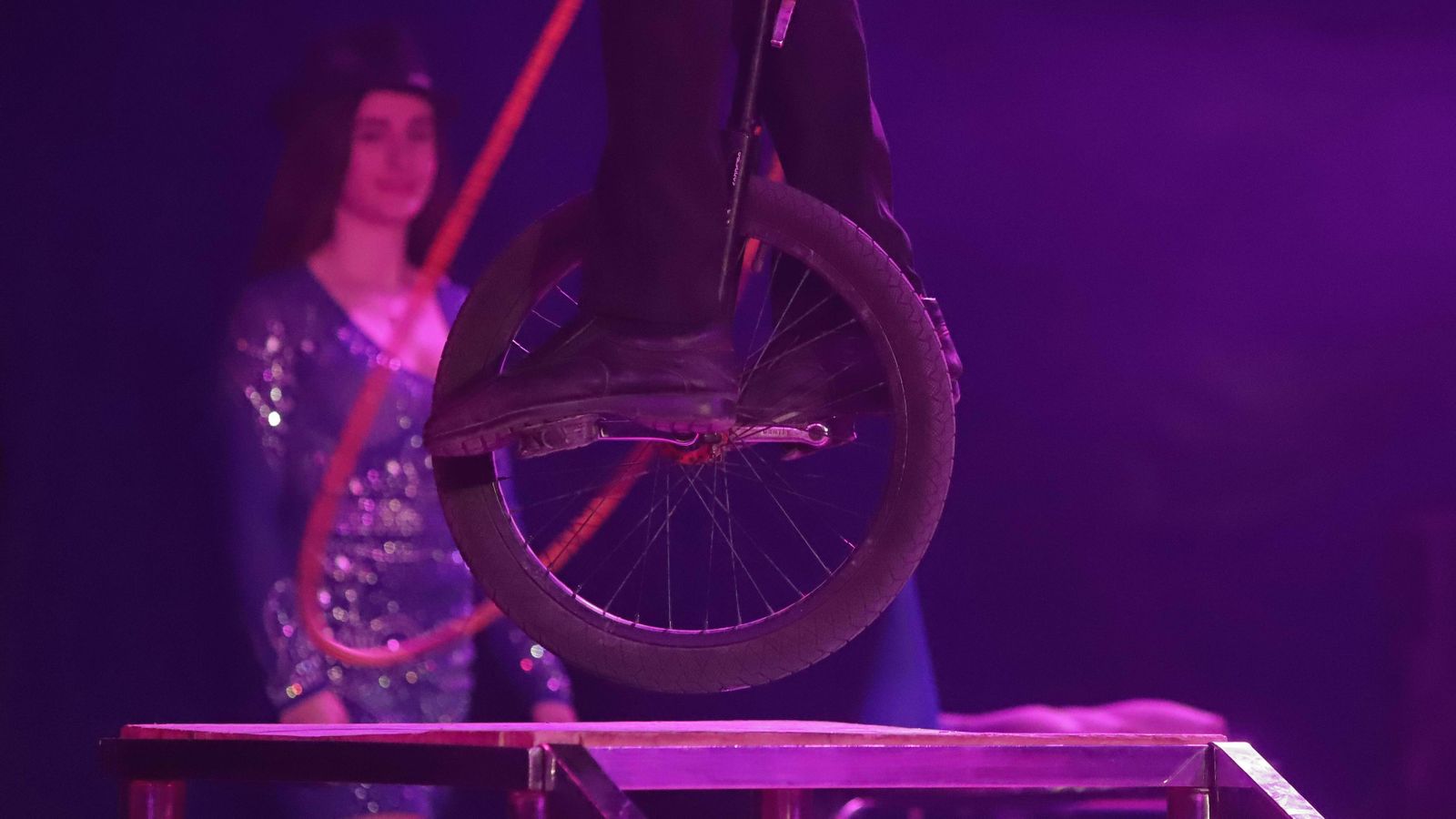 Imágenes de la gala solidaria para el circo Berlín.