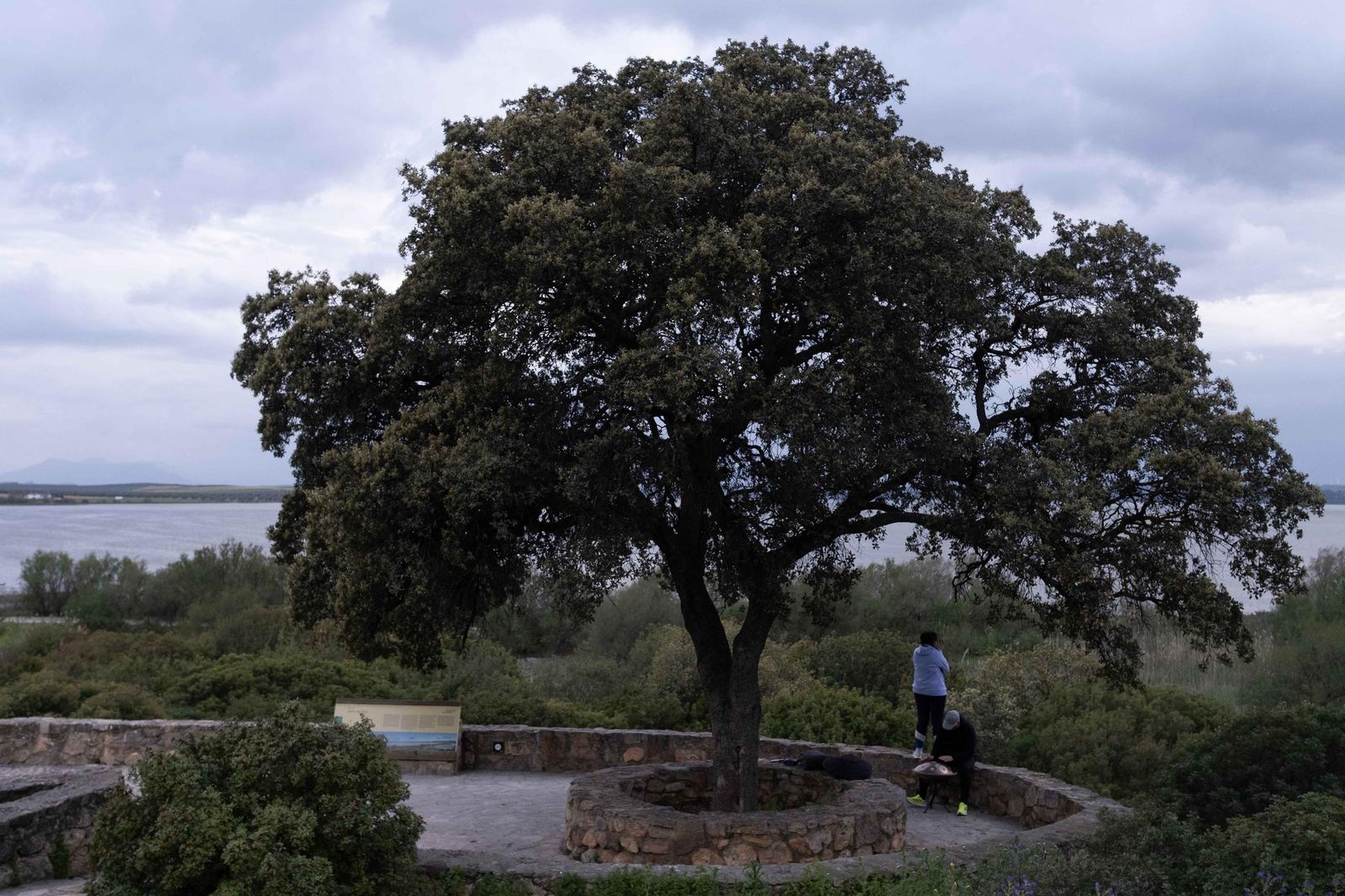 Laguna de Fuente de Piedra tras las lluvias, en fotos