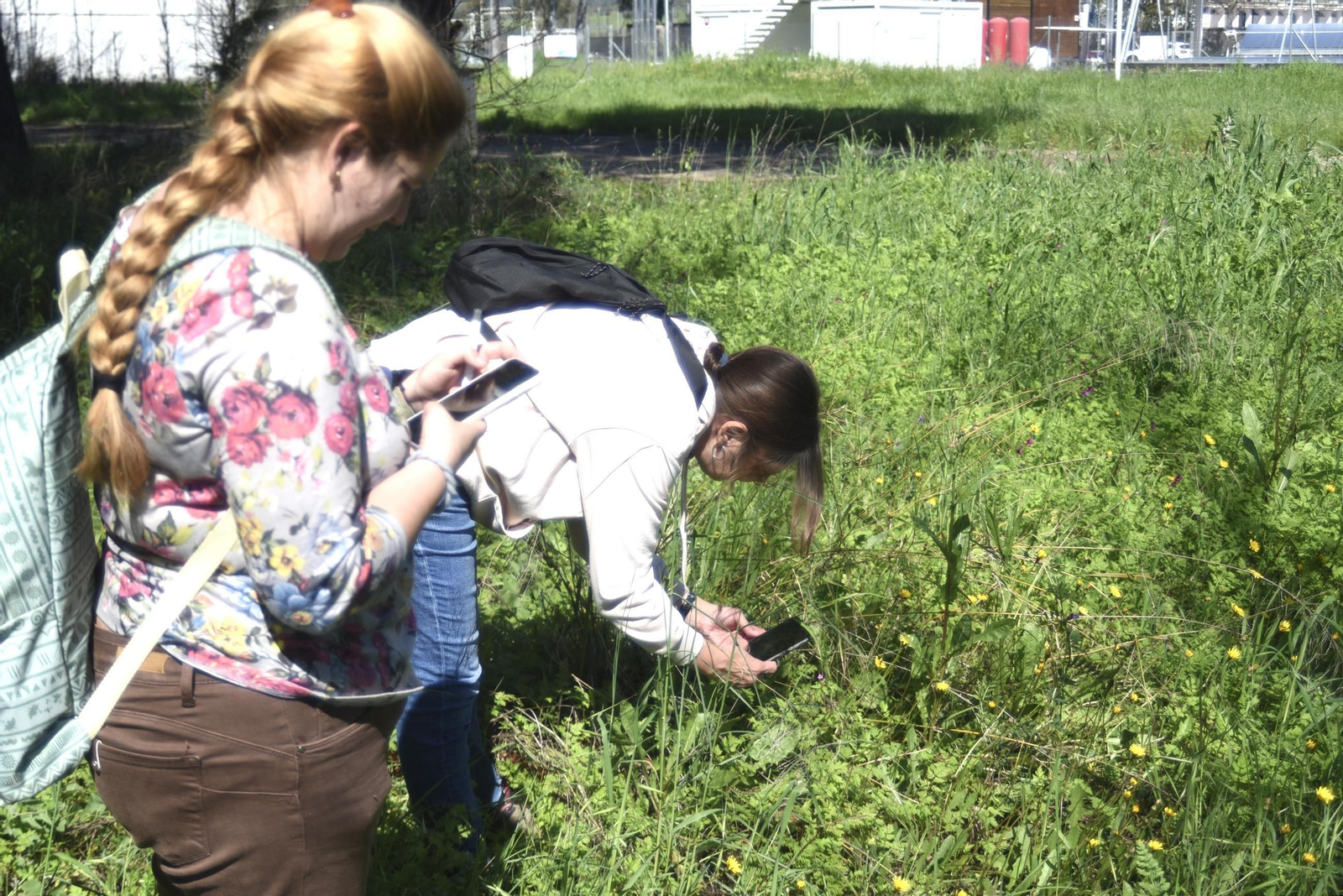 Las mejores imágenes del 'Maratón de identificación de especies' de la Universidad de Córdoba