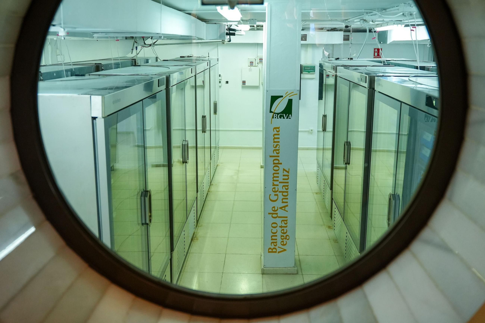 Interior del Banco de Germoplasma Andaluz.