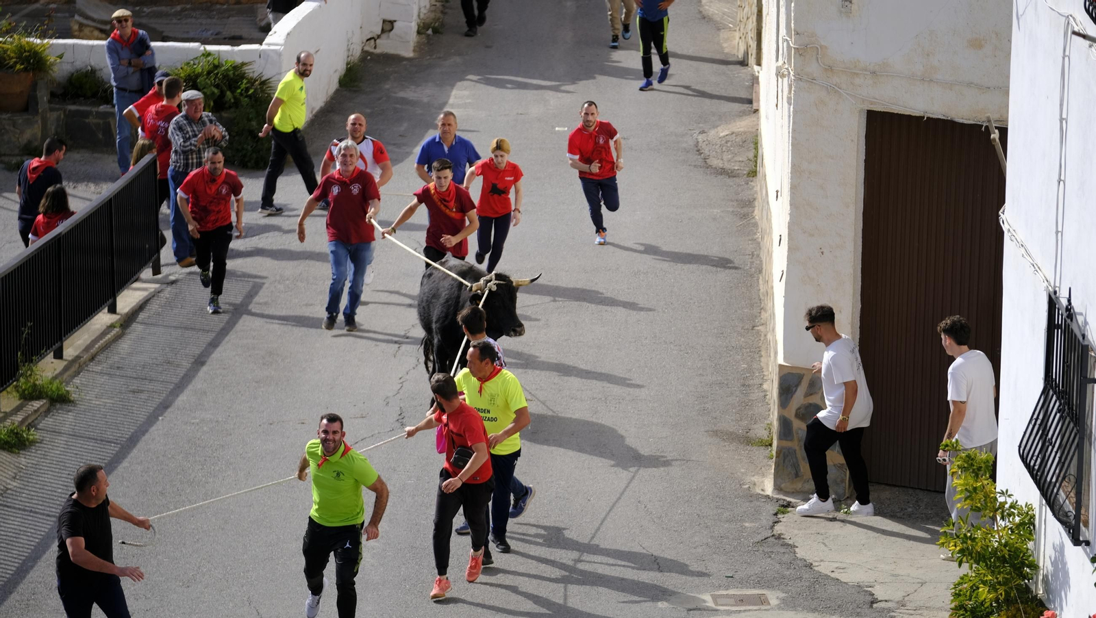 Los toros ensogados de Ohanes, en imágenes
