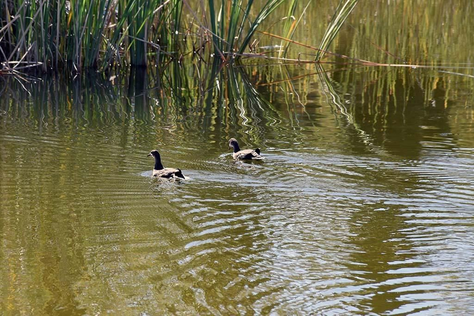 Imágenes del viernes 3 de mayo en Huelva