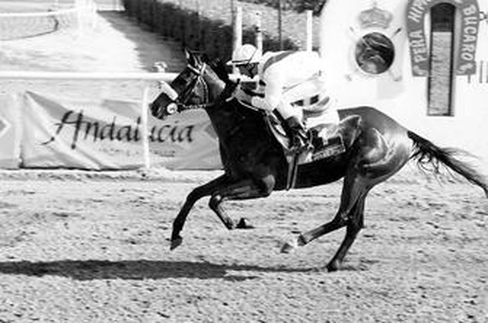 'Tiffany', en plena acción.