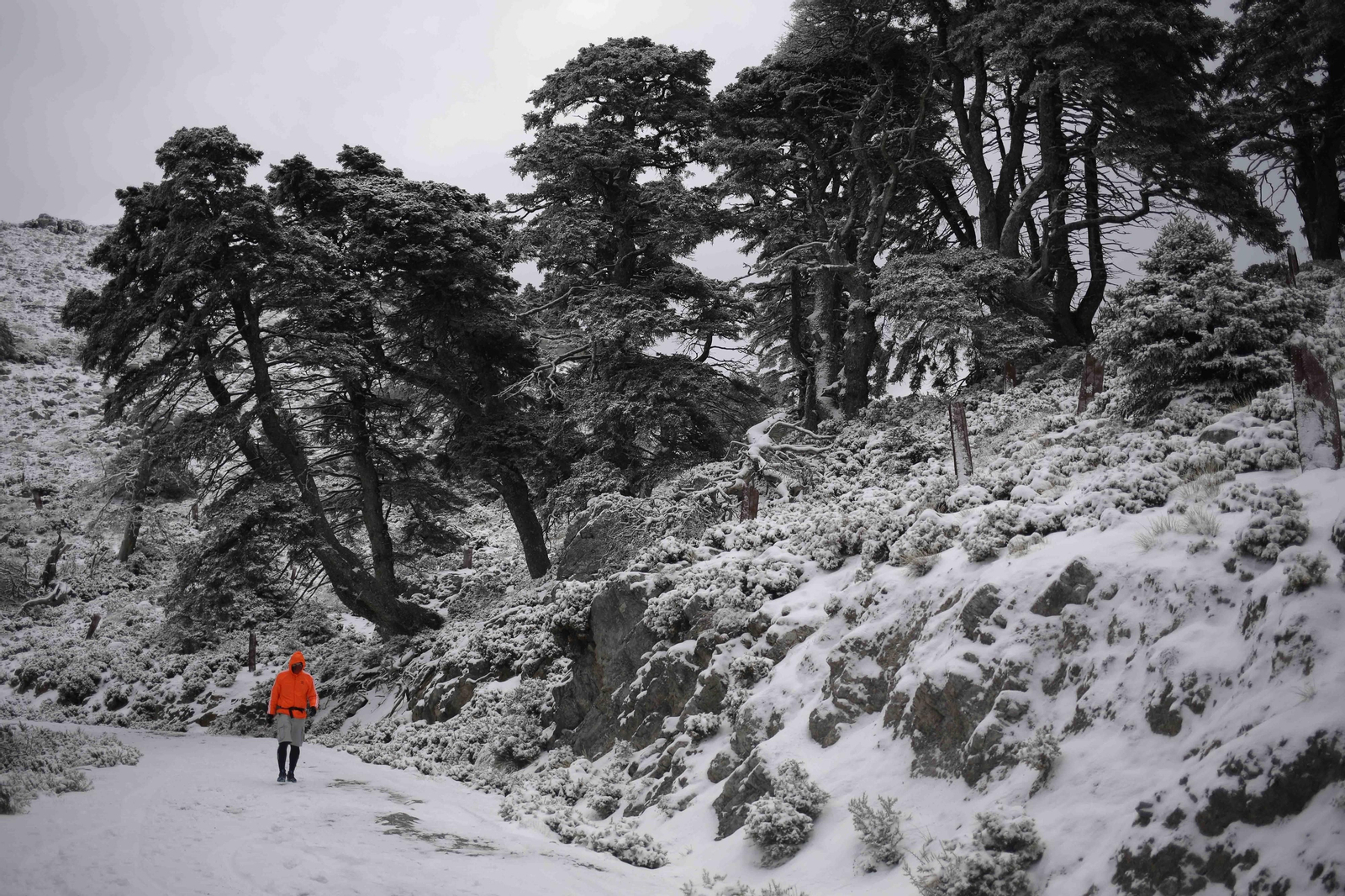 La Sierra de las Nieves ya lució esta temporada en varias ocasiones el color blanco que le dio su nombre