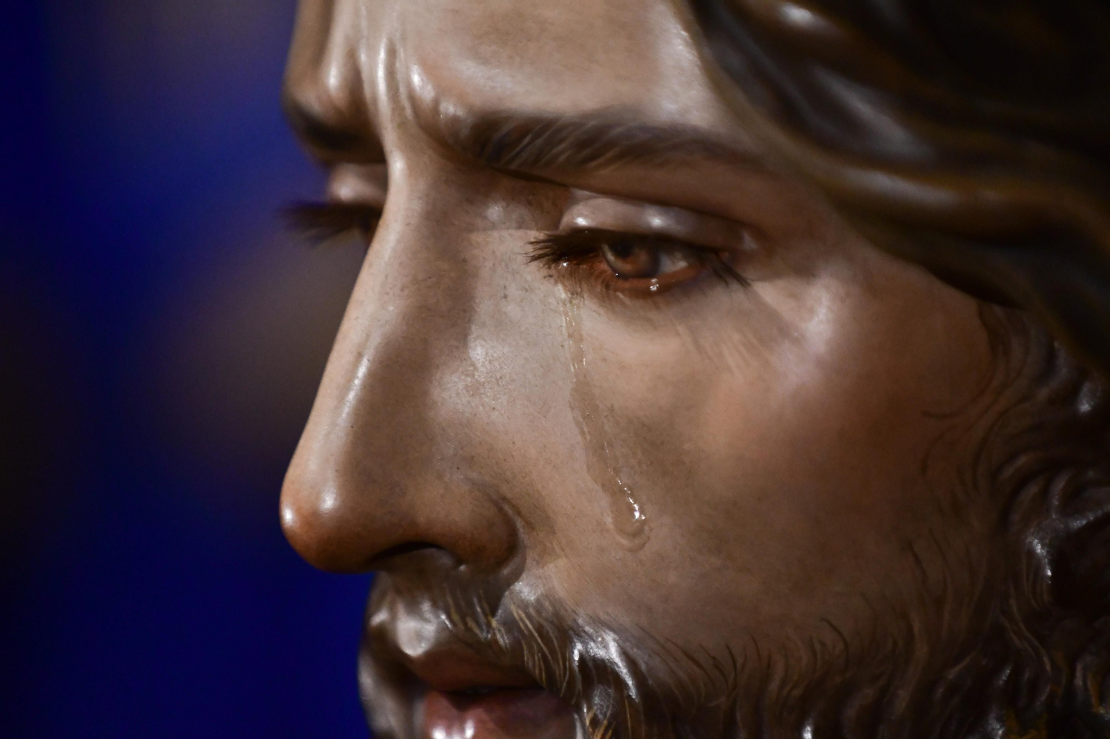 Nuestro Padre Jesús de la Bondad, al detalle