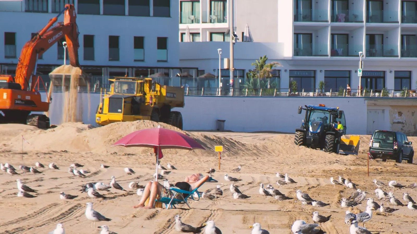 Trajín en la playa de Chipiona, mientras una señora toma el sol rodeada de gaviotas.