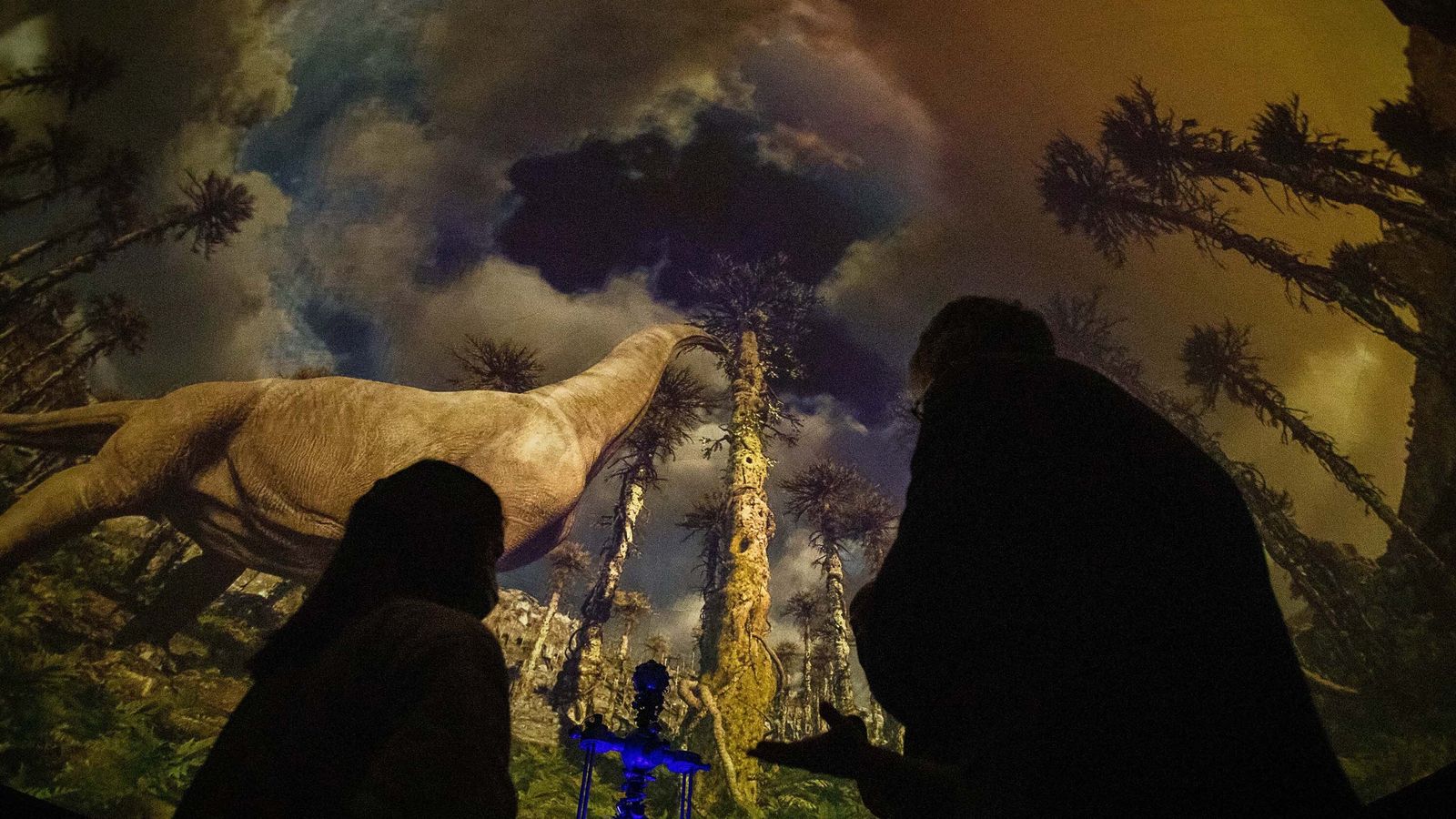 La exposición sobre dinosaurios del museo.