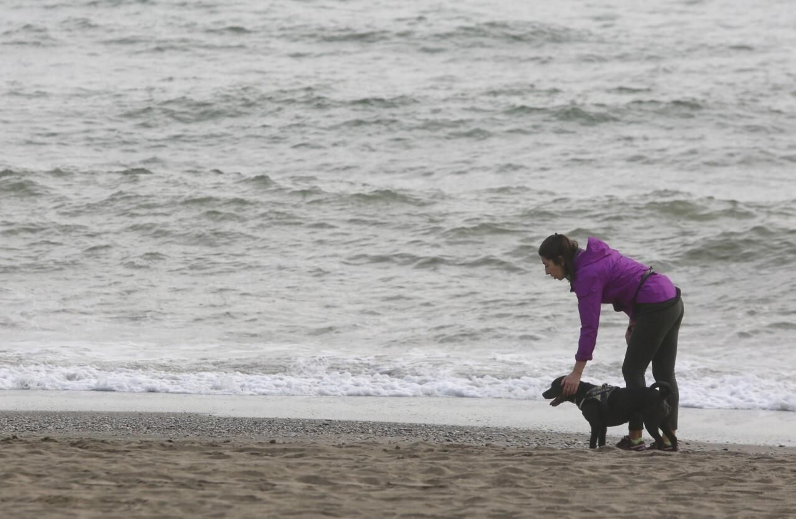 Una mujer jugando con su perro  en una playa  de la capital.