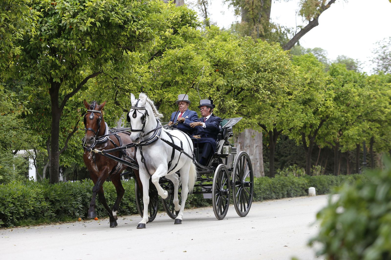 El concurso de enganches, en imágenes