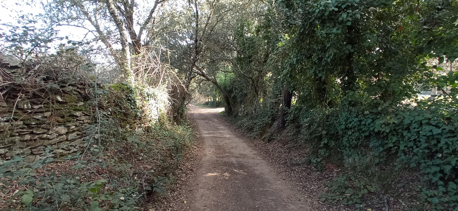 Las imágenes de la ruta de la Dehesa de Valdelama: De Los Marines a Fuenteheridos y vuelta