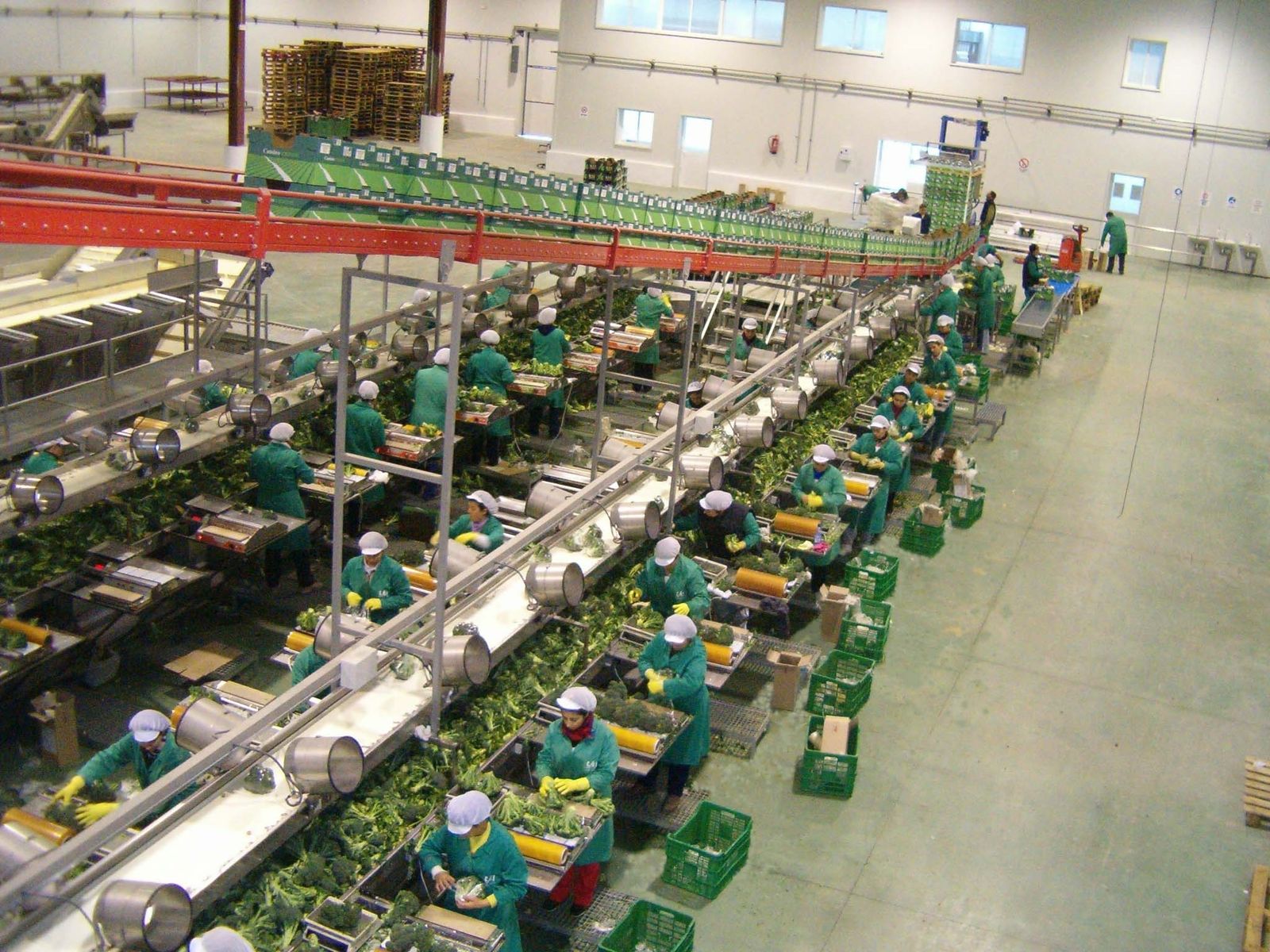 Una imagen de archivo de la Cooperativa Hortofrutícola Las Marismas, en Lebrija.