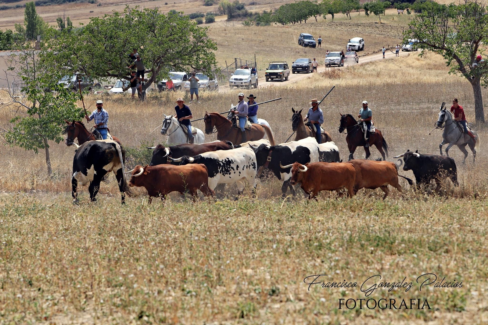 Saltos y fintas de vértigo en los encierros de Santiago de la Espada, en imágenes